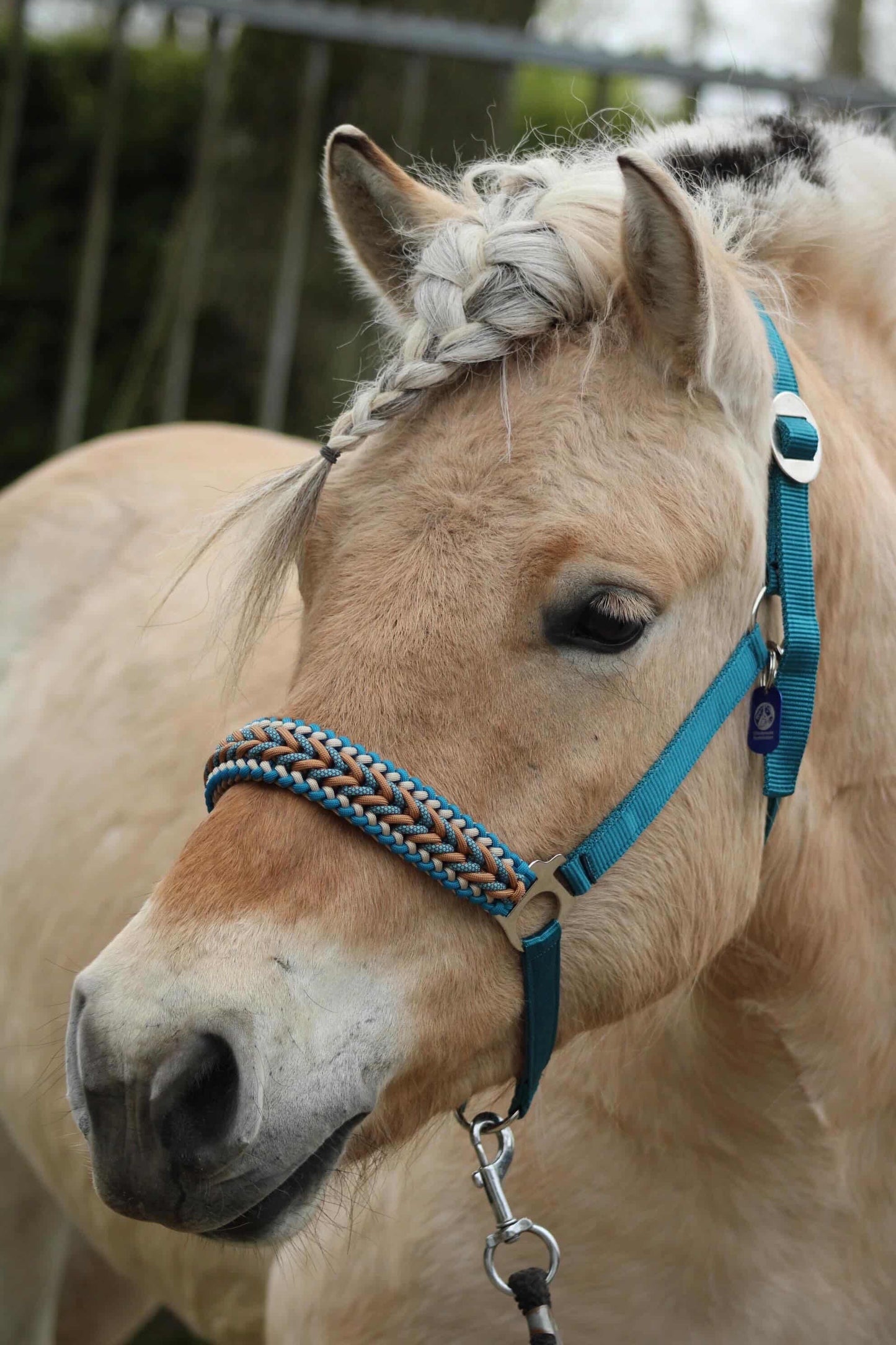 Handgemaakte paardenhalsters - Geknoopt halster ‘Teal Treasure’ emerald/teal/caramel