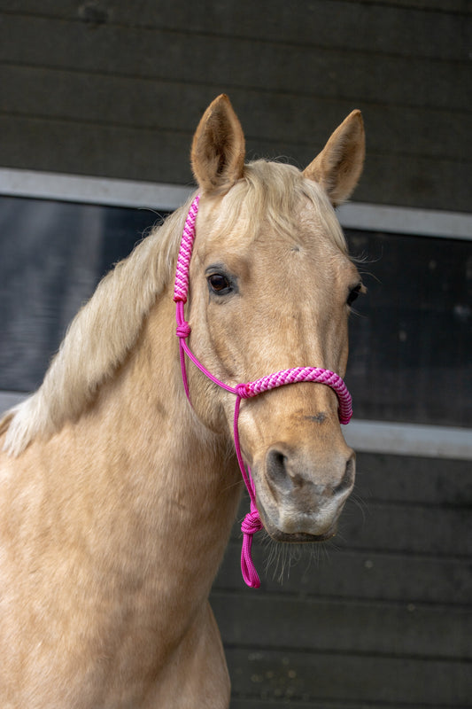 Touwhalster fuchsia met fuchsia-babyroze neus en oorband