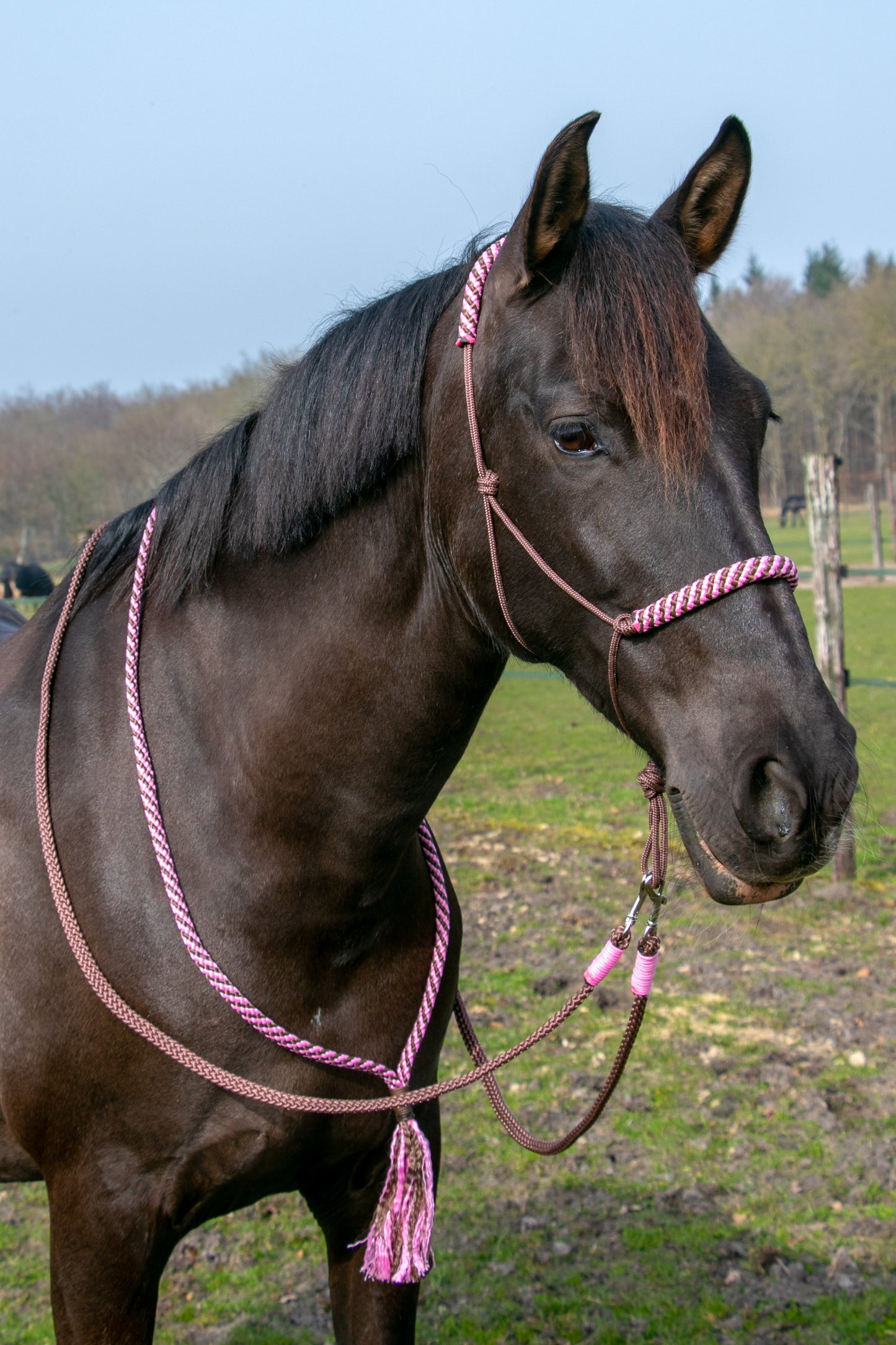 Touwhalster set pink chocolate