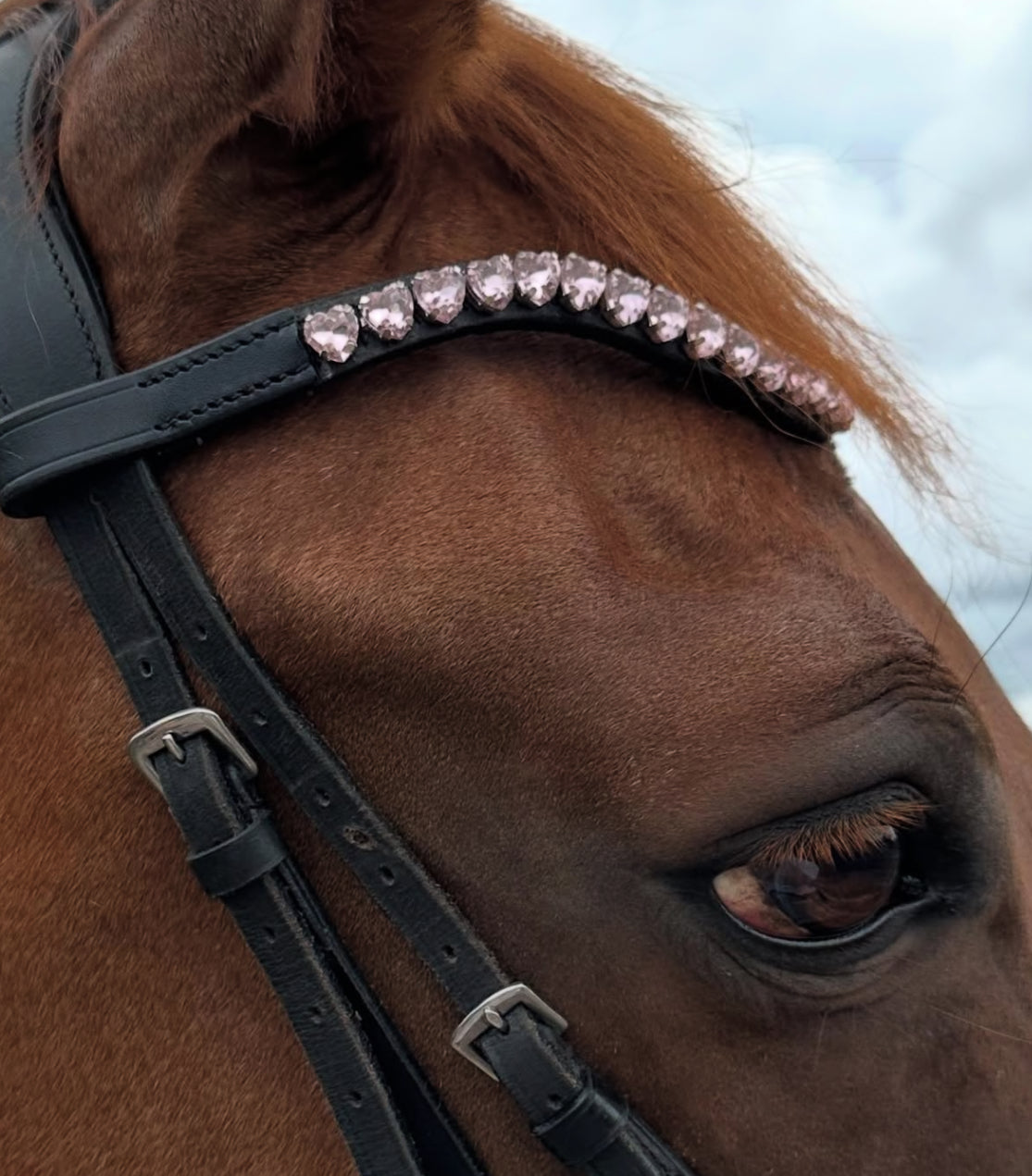 FMH - Sprankelende frontriem ‘Lovehearts’ Wave met 8mm steentjes in hartvorm (div. kleuren)