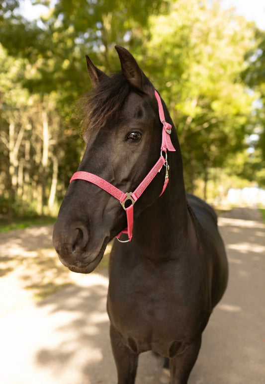 Happy Halsters - Fuchsia panter halster
