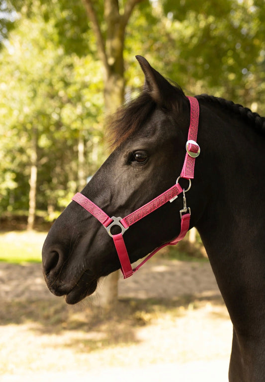 Happy Halsters - Fuchsia panter halster