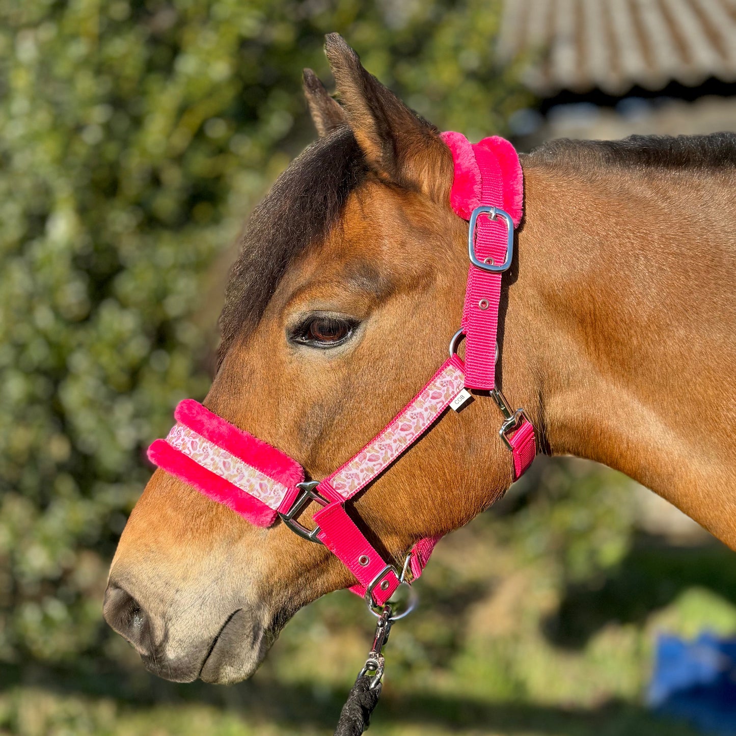 Happy Halsters x FMH - Pink Cowgirl Exclusive halster (bont) div. kleuren