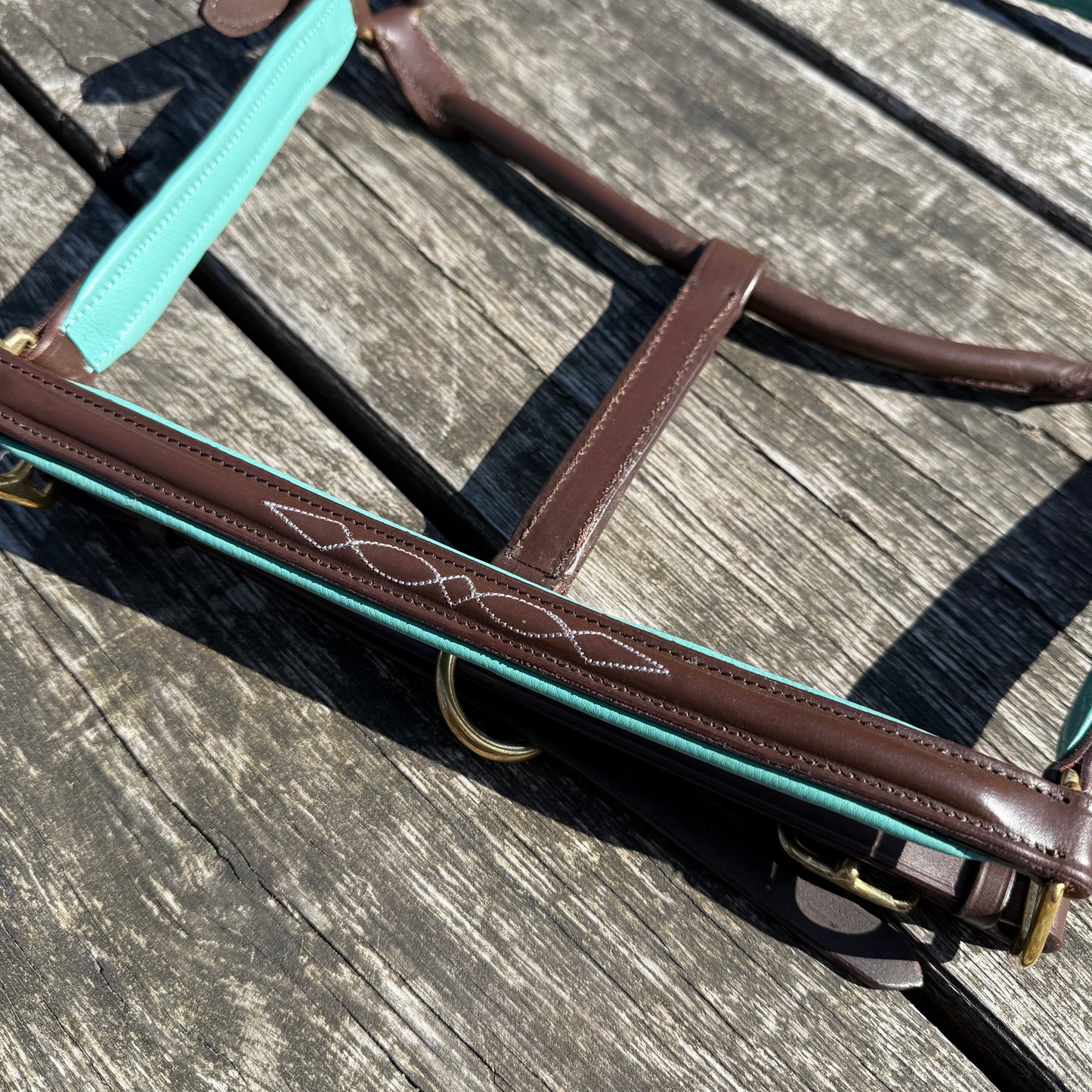 FMH - Havana lederen halster met gekleurde underlayment ‘Colour Pop’ mint