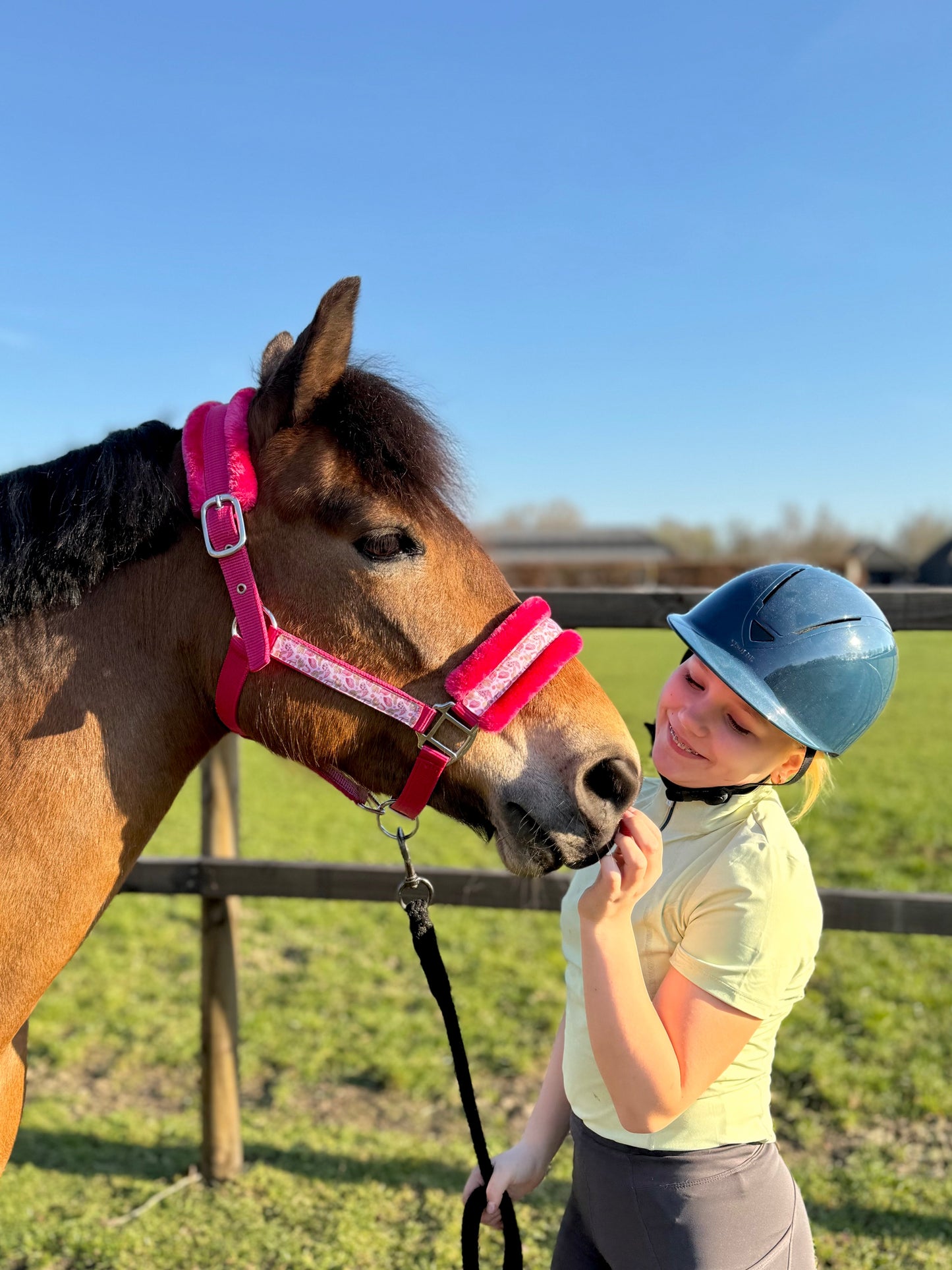 Happy Halsters x FMH - Pink Cowgirl Exclusive halster (bont) div. kleuren