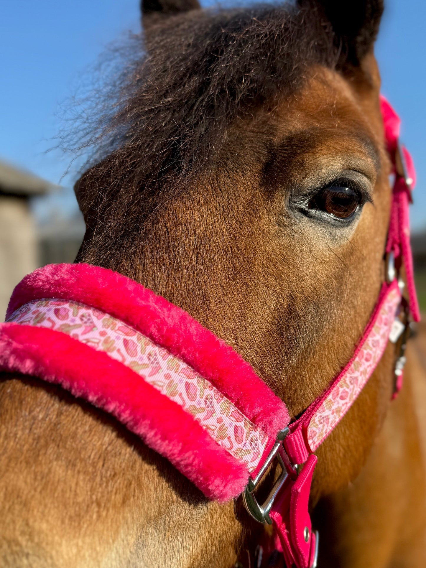 Happy Halsters x FMH - Pink Cowgirl Exclusive halster (bont) div. kleuren