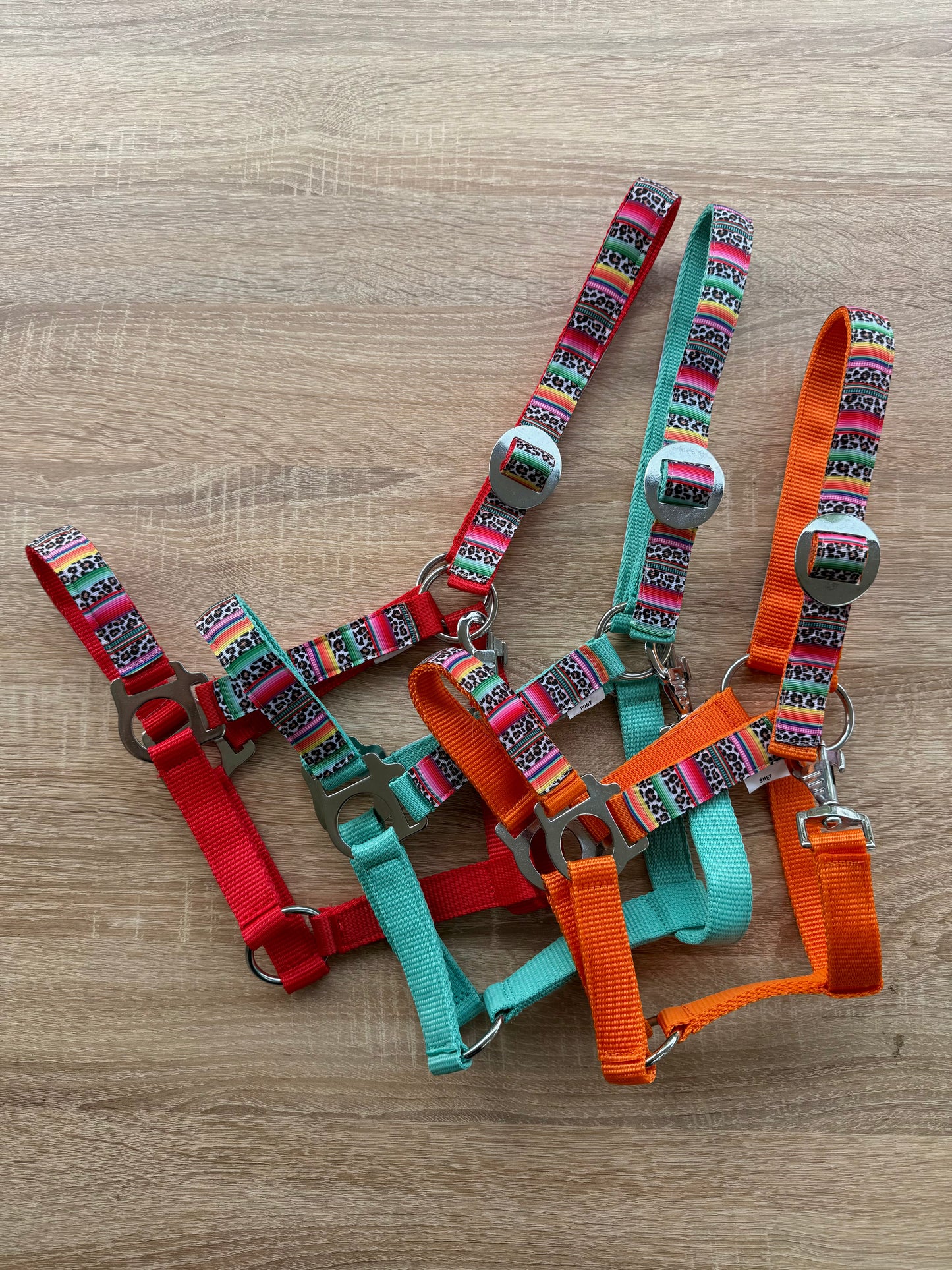 Happy Halsters x FMH - Colourful Panther Exclusive halster div. kleuren