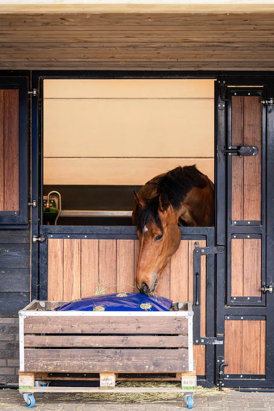 Horse Originals - HayPlay Buttonbag Medium