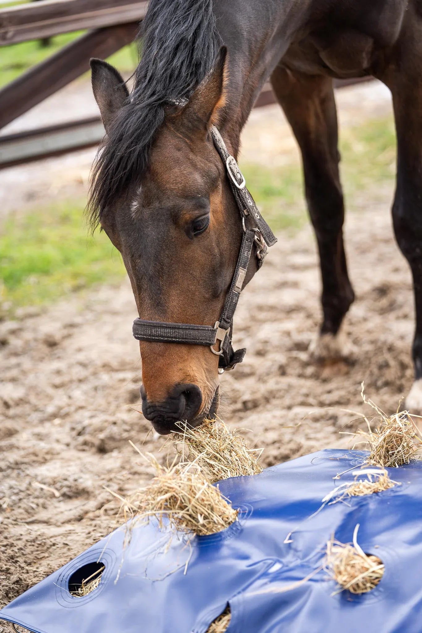 Horse Originals - HayPlay Buttonbag XL