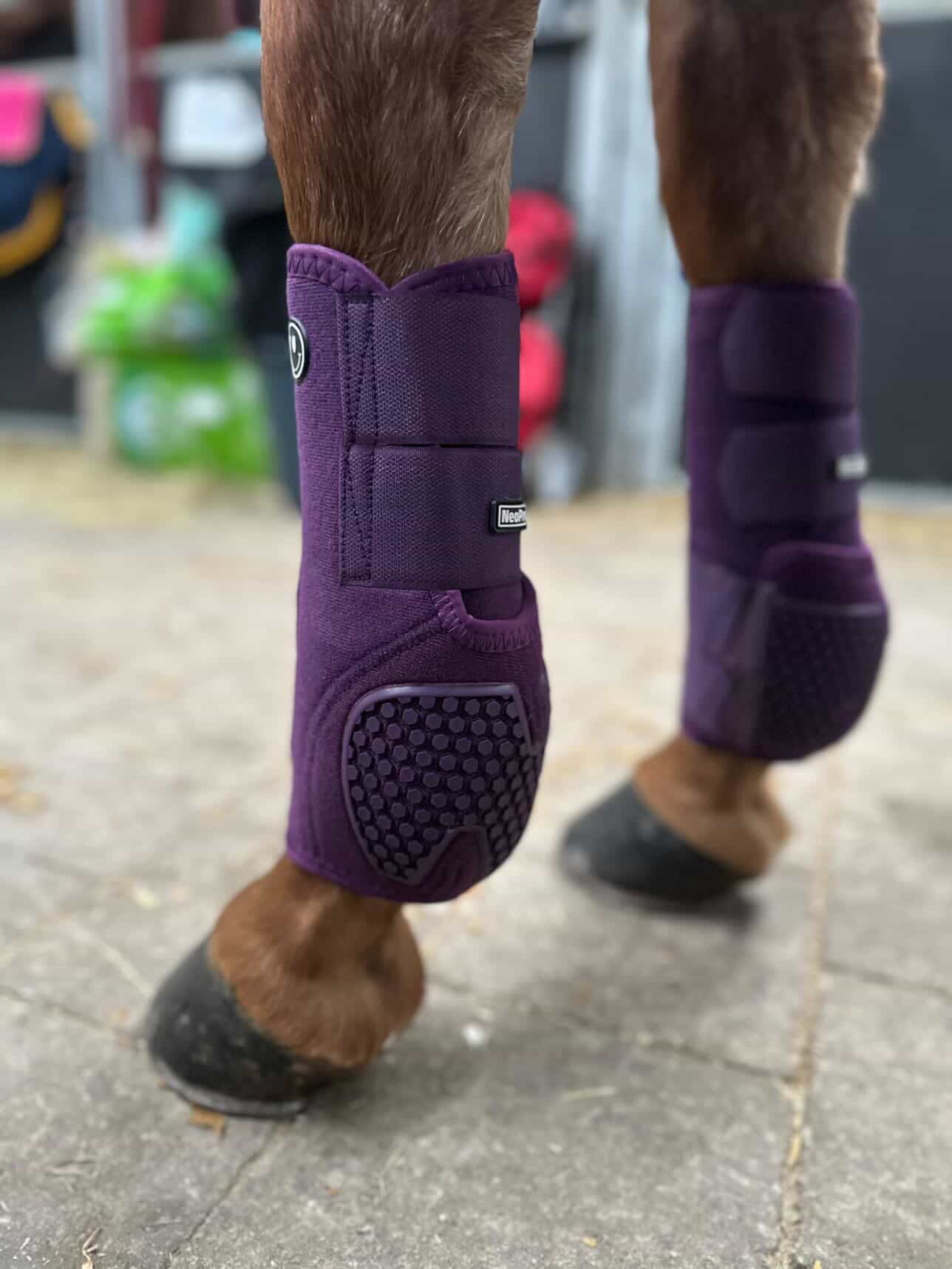 FMH - NeoPro the Solids - Neoprene beenbeschermers boots voor paarden (div. kleuren)