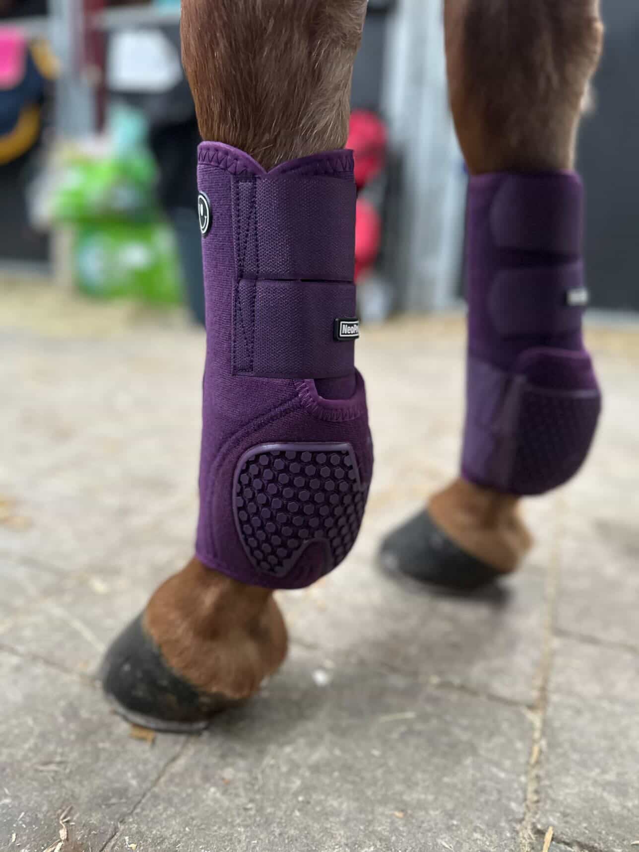 FMH - NeoPro the Solids - Neoprene beenbeschermers boots voor paarden (div. kleuren)