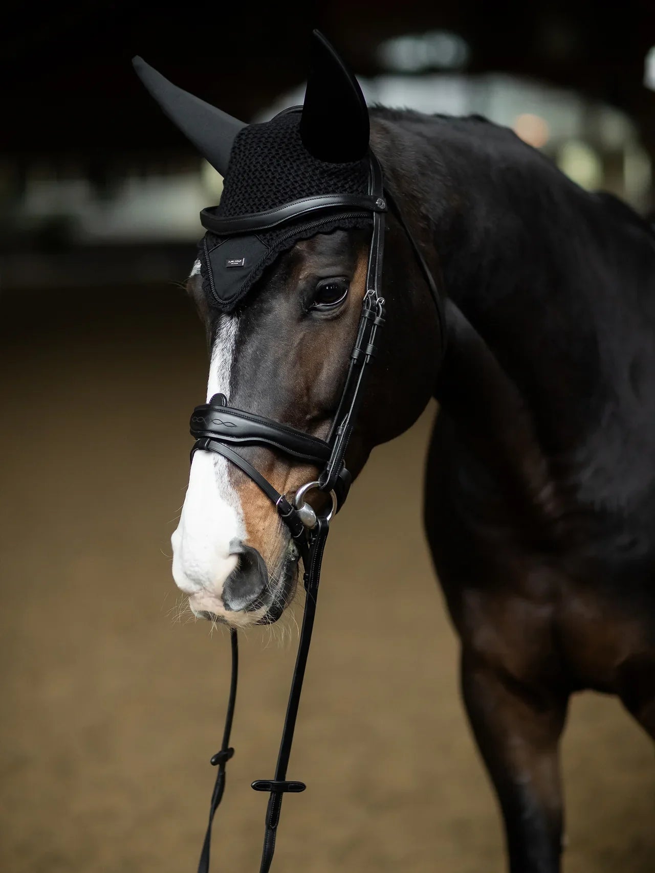 Equestrian Stockholm - Core Collection - Black Silver Padded Ear Bonnet oornetje