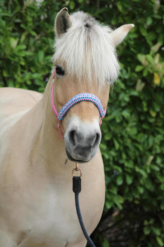 Handgemaakte paardenhalsters - Geknoopt halster ‘Cotton Candy’ lichtroze/lichtblauw
