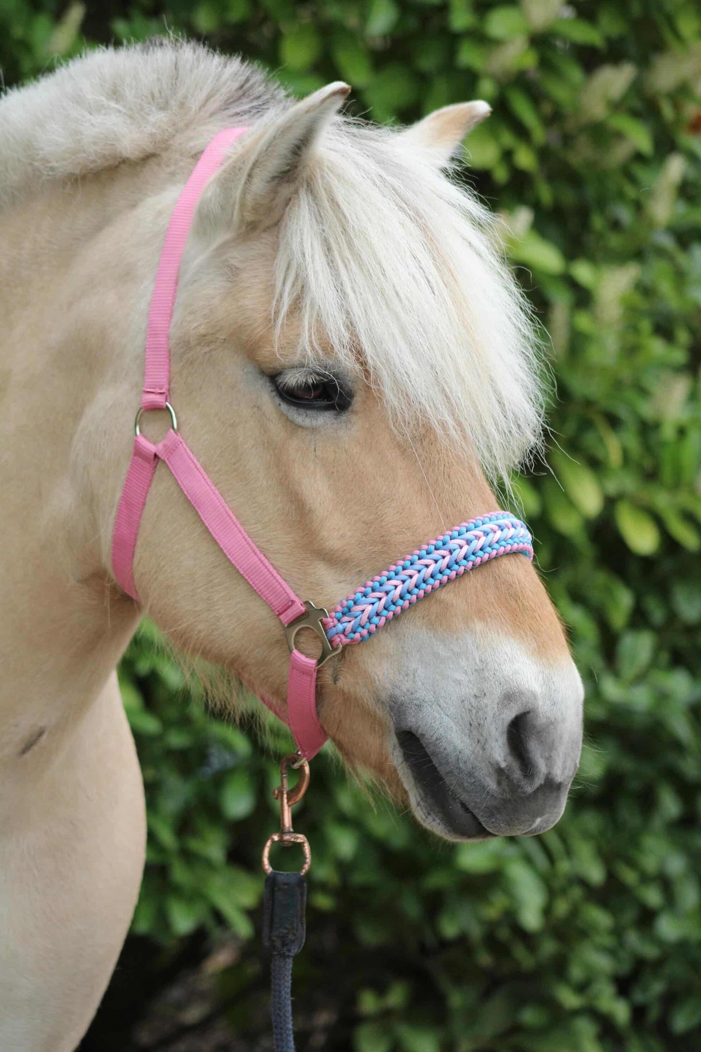 Handgemaakte paardenhalsters - Geknoopt halster ‘Cotton Candy’ lichtroze/lichtblauw