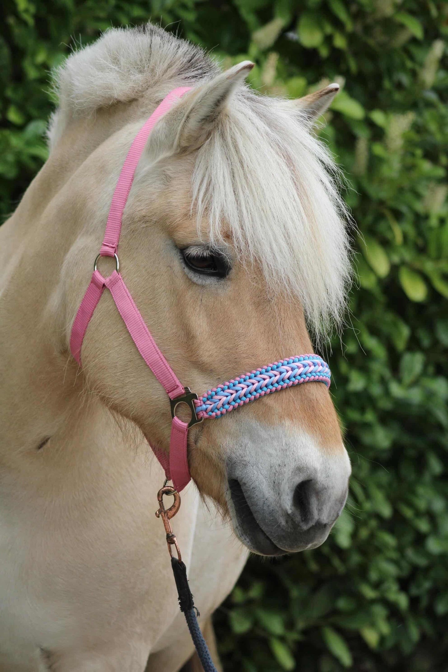 Handgemaakte paardenhalsters - Geknoopt halster ‘Cotton Candy’ lichtroze/lichtblauw