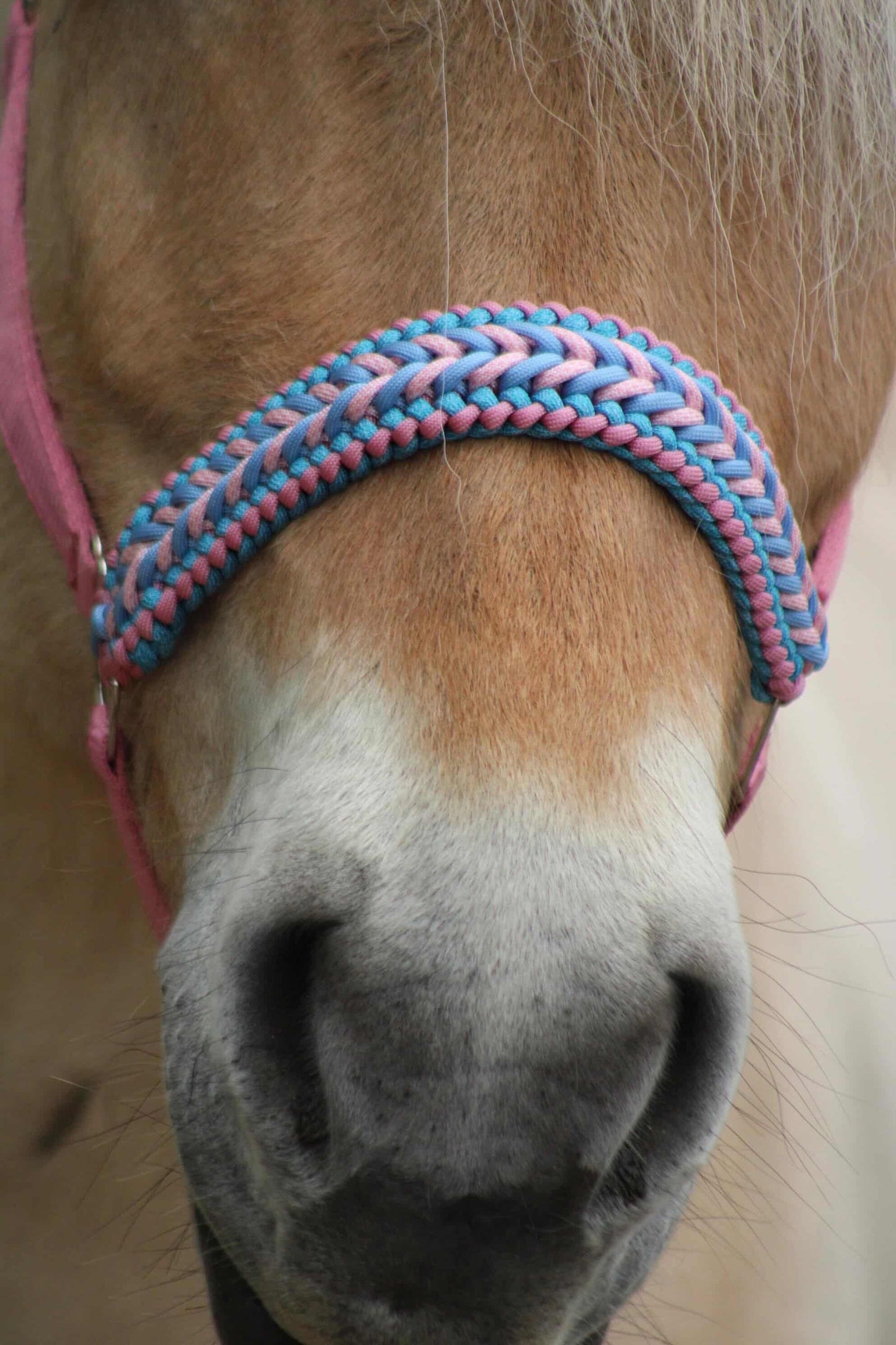 Handgemaakte paardenhalsters - Geknoopt halster ‘Cotton Candy’ lichtroze/lichtblauw