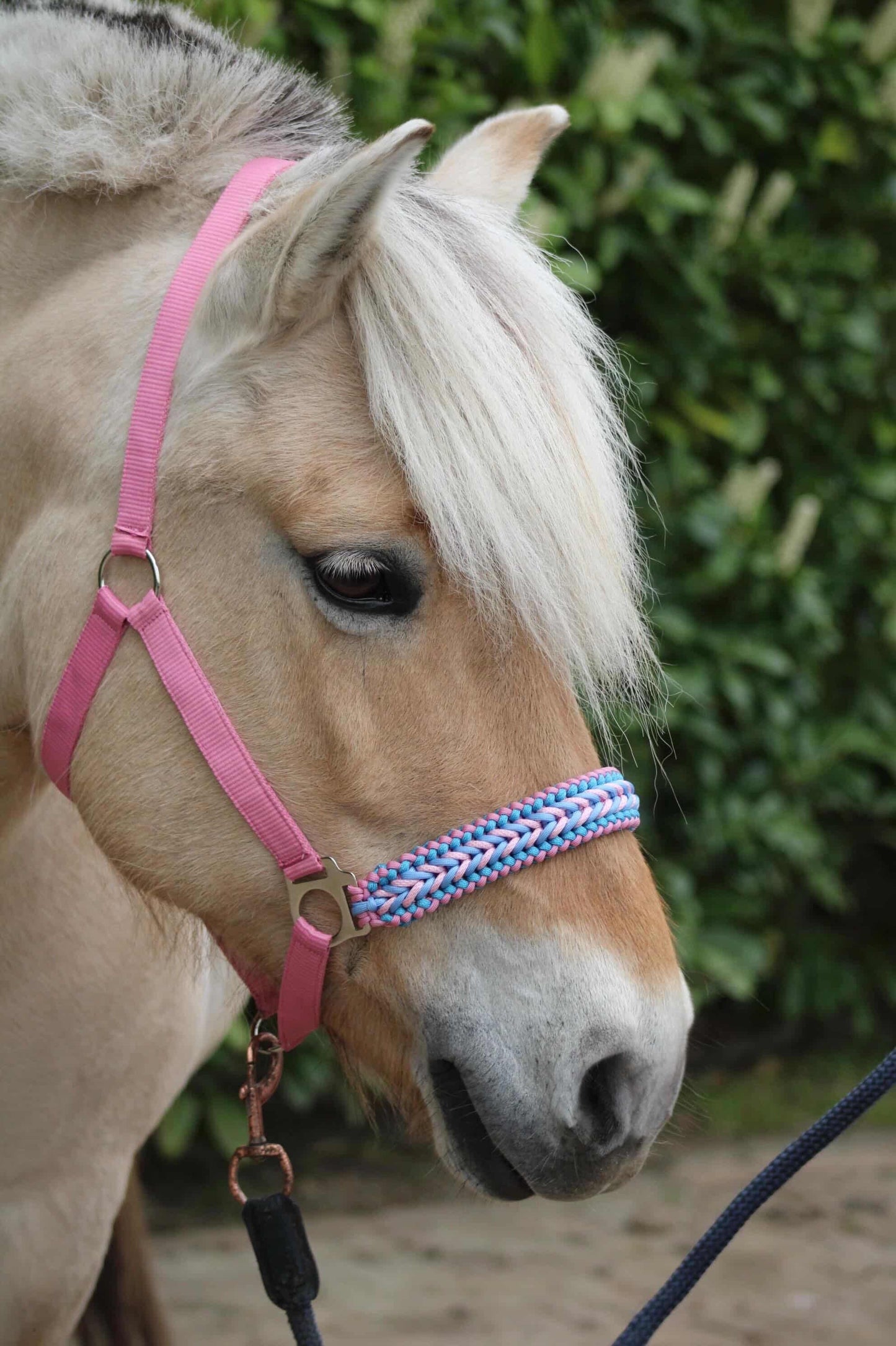 Handgemaakte paardenhalsters - Geknoopt halster ‘Cotton Candy’ lichtroze/lichtblauw