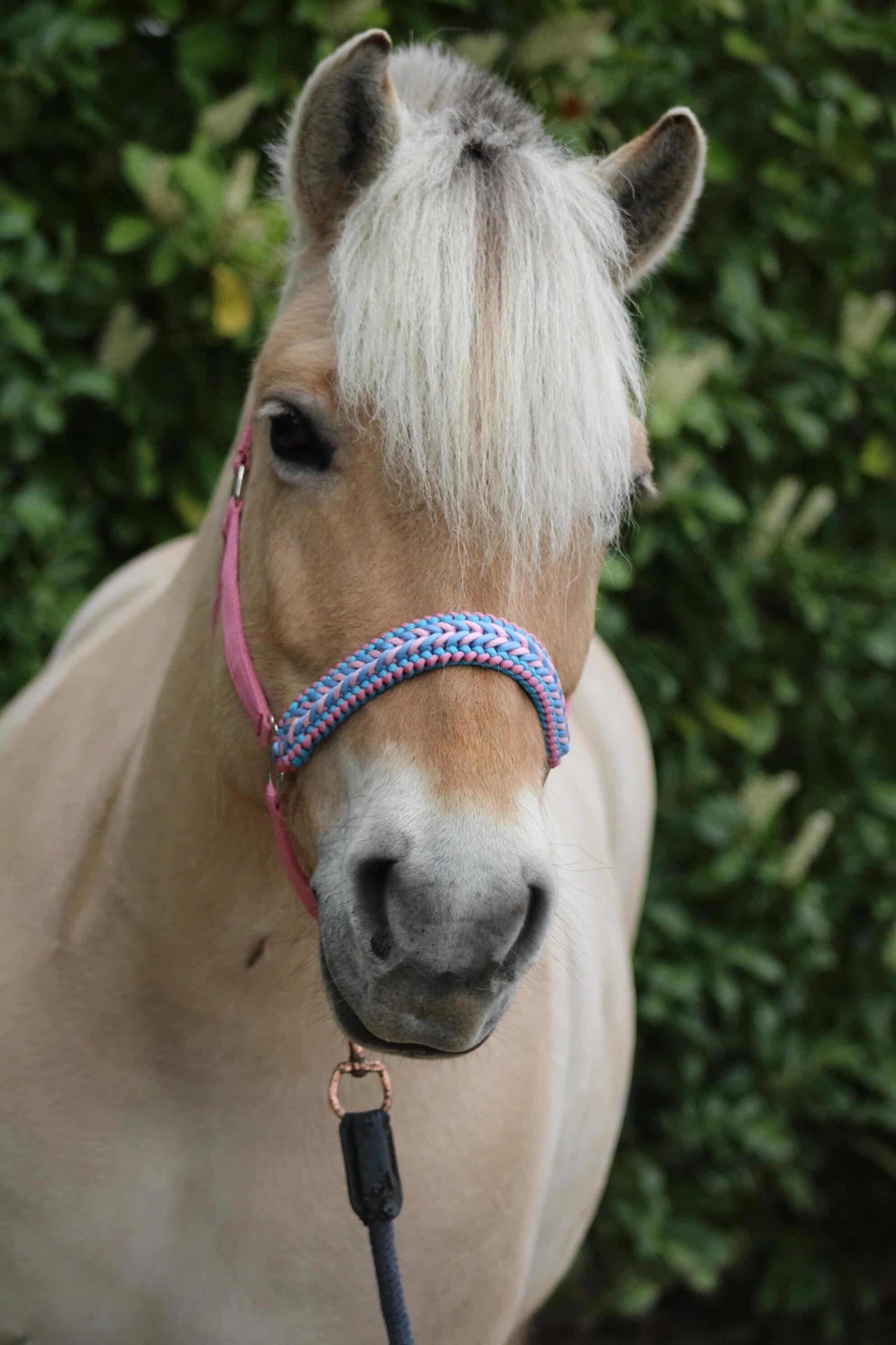 Handgemaakte paardenhalsters - Geknoopt halster ‘Cotton Candy’ lichtroze/lichtblauw