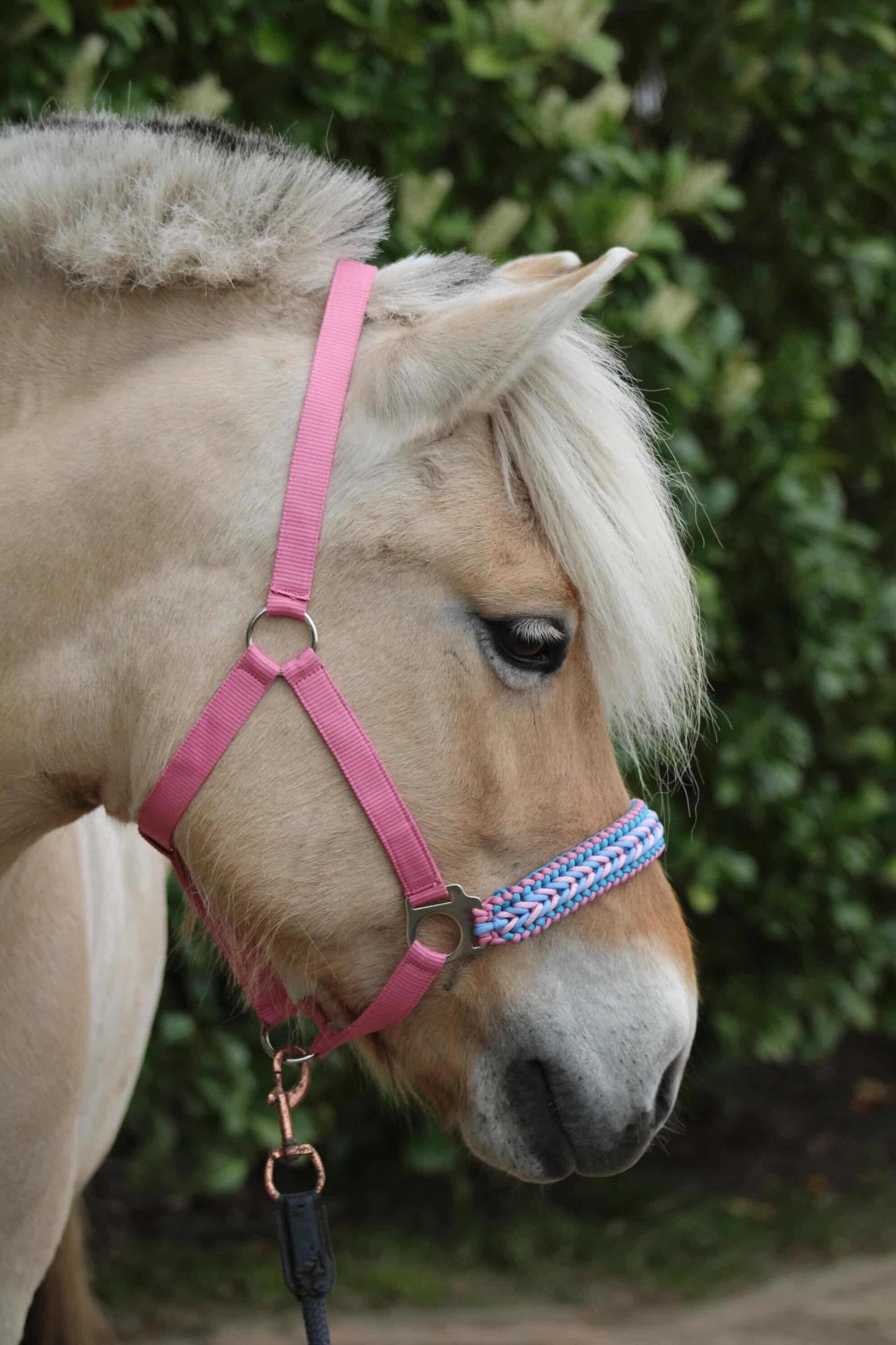 Handgemaakte paardenhalsters - Geknoopt halster ‘Cotton Candy’ lichtroze/lichtblauw