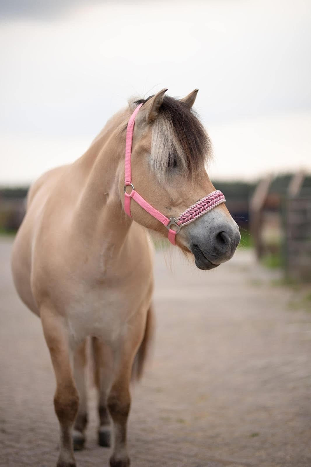 Handgemaakte paardenhalsters - Geknoopt halster ‘Cutie’ roze/ beige