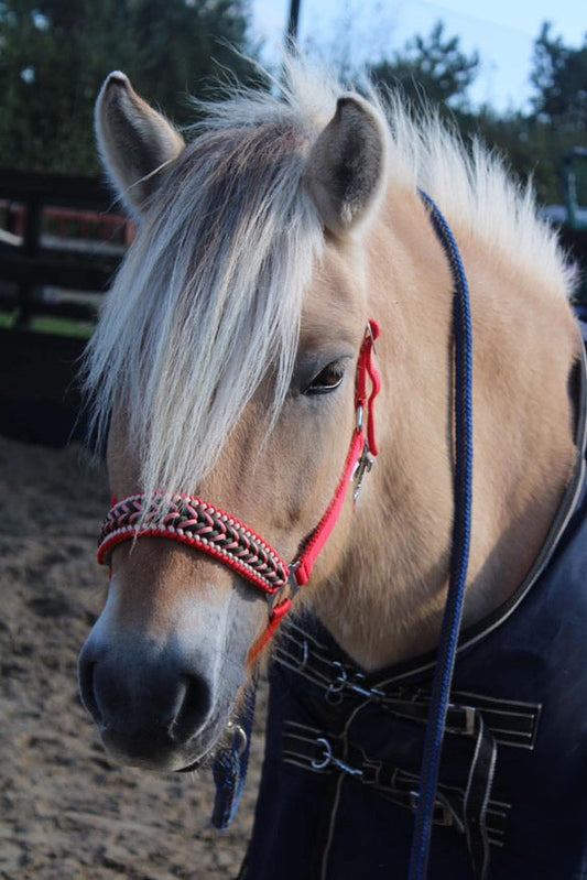 Handgemaakte paardenhalsters - Geknoopt halster ‘Fierce’ rood/ army