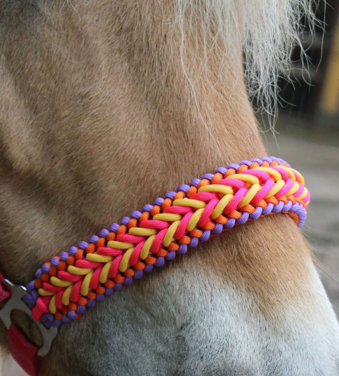 Handgemaakte paardenhalsters - Geknoopt halster ‘Funky Town’ fuchsia/geel/oranje/paars