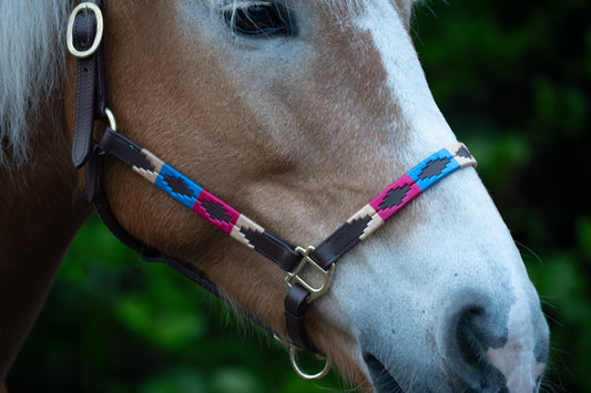 FMH - Havana lederen polo halster ‘Polo Vaquero Classy’ rood/blauw/crème