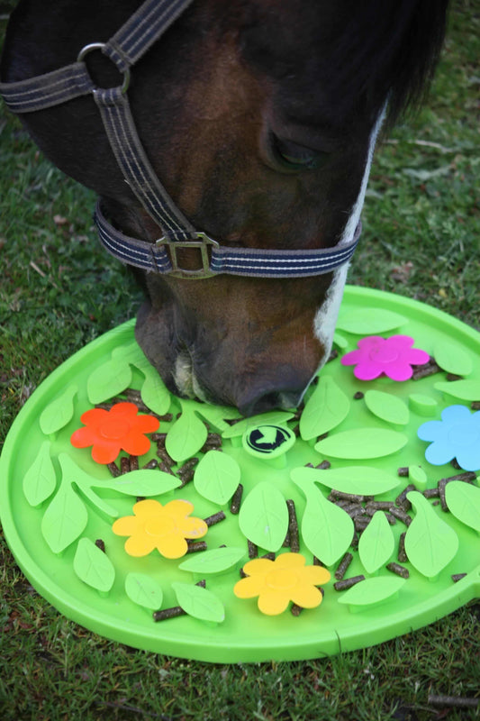 Excellent Horse - Snuffelmat Flower Power