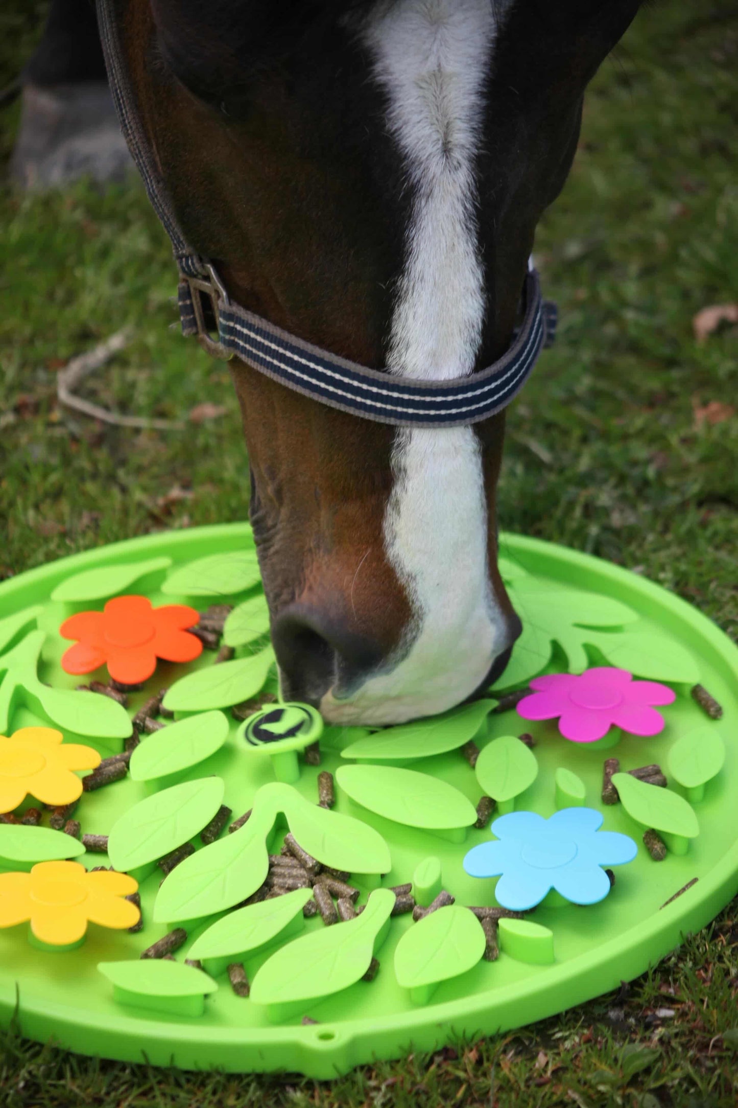 Excellent Horse - Snuffelmat Flower Power
