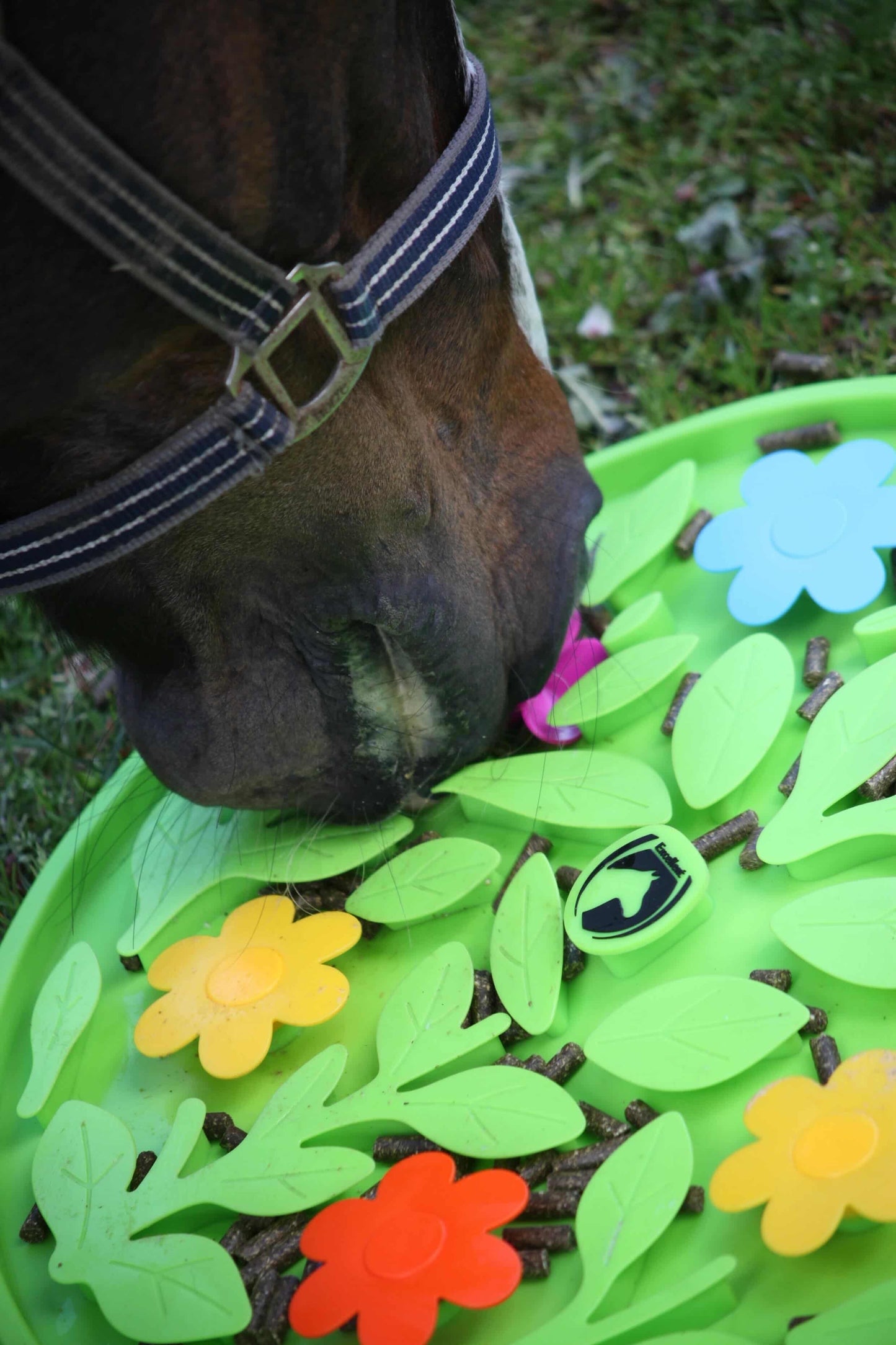 Excellent Horse - Snuffelmat Flower Power
