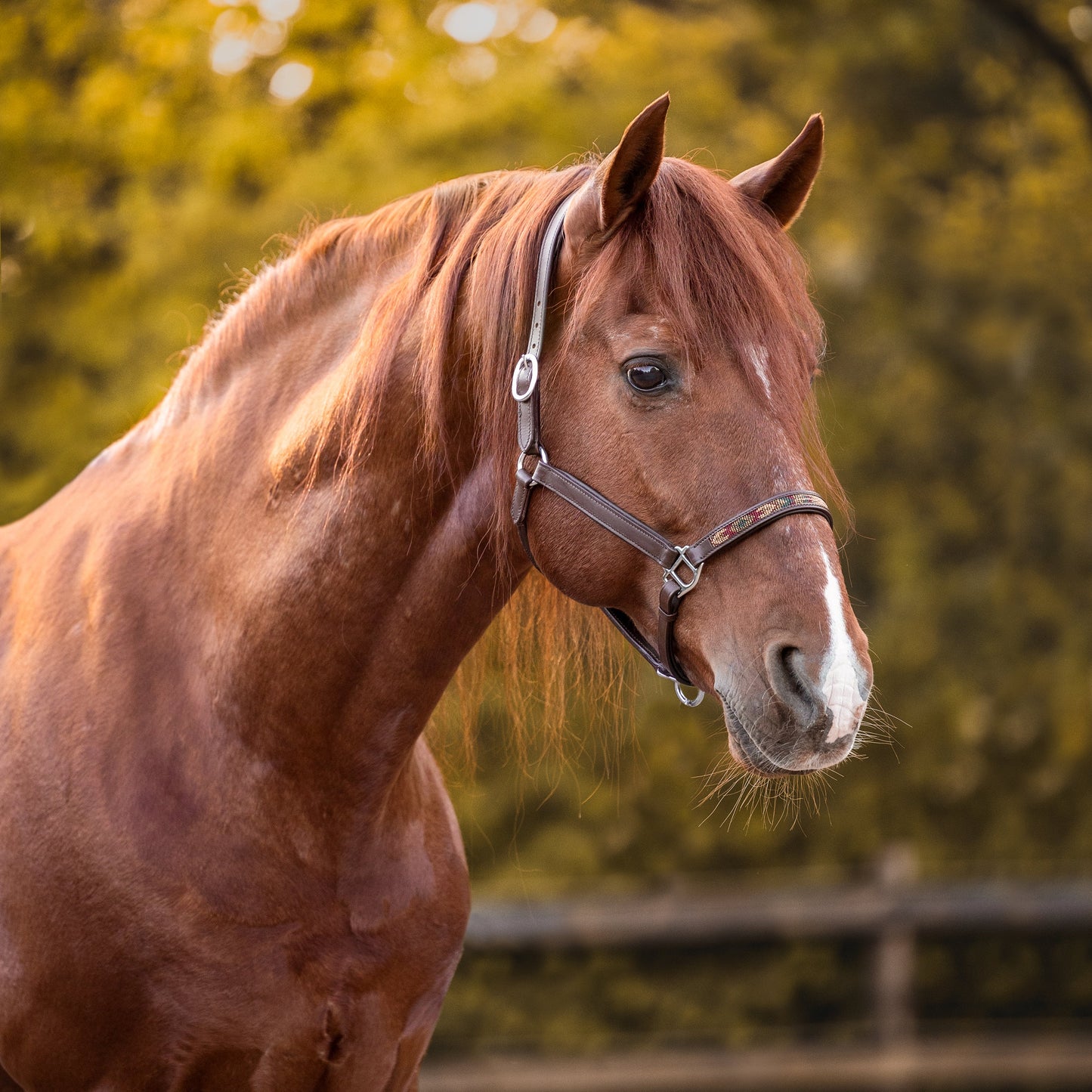 FMH - Cognac lederen halster met kraaltjes ‘Beaded Bronco Nature’ camel/goud/emerald