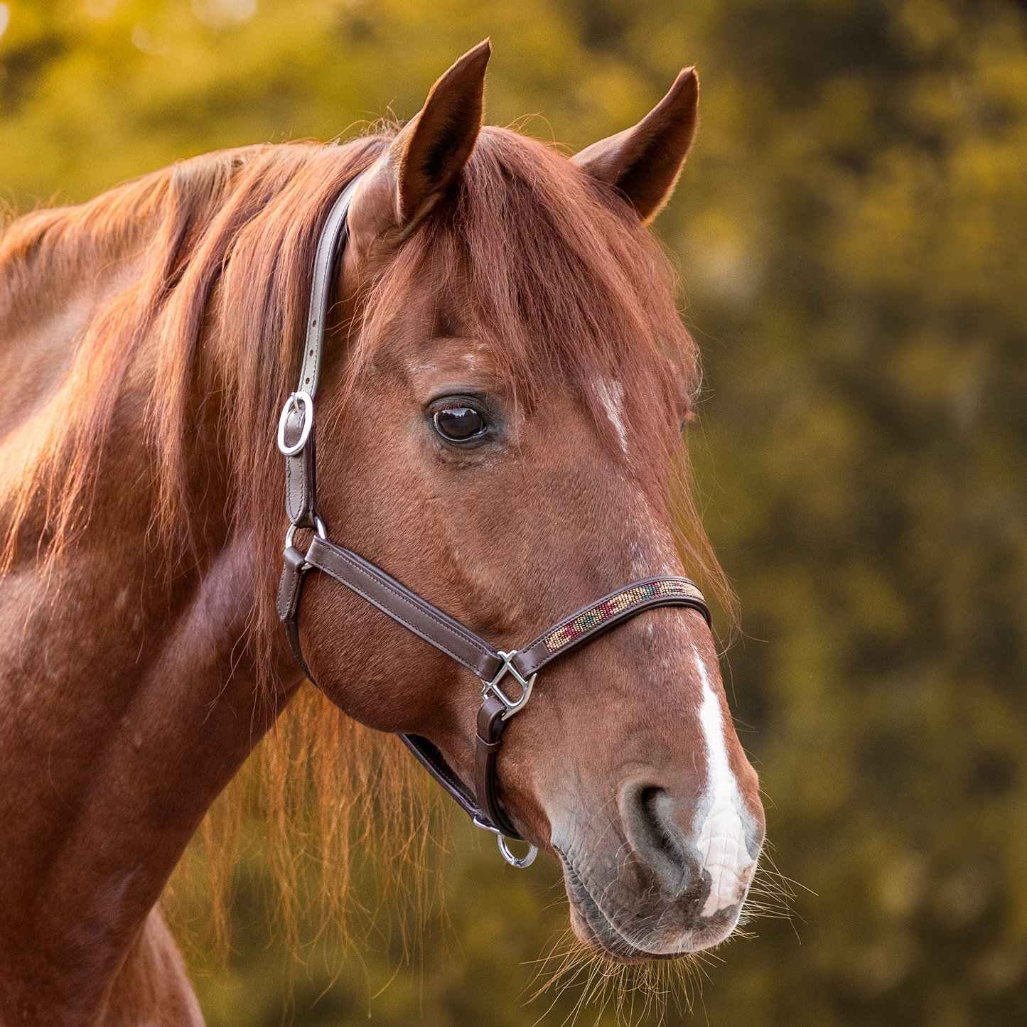FMH - Cognac lederen halster met kraaltjes ‘Beaded Bronco Nature’ camel/goud/emerald