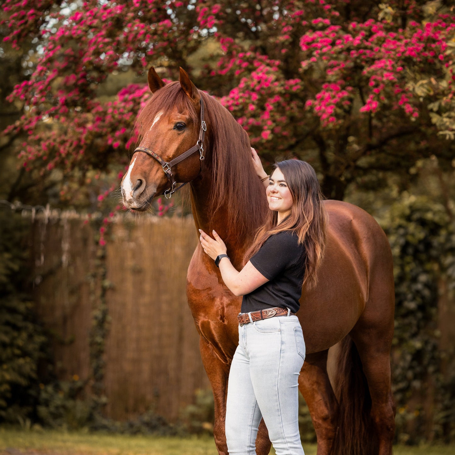 FMH - Cognac lederen halster met kraaltjes ‘Beaded Bronco Nature’ camel/goud/emerald