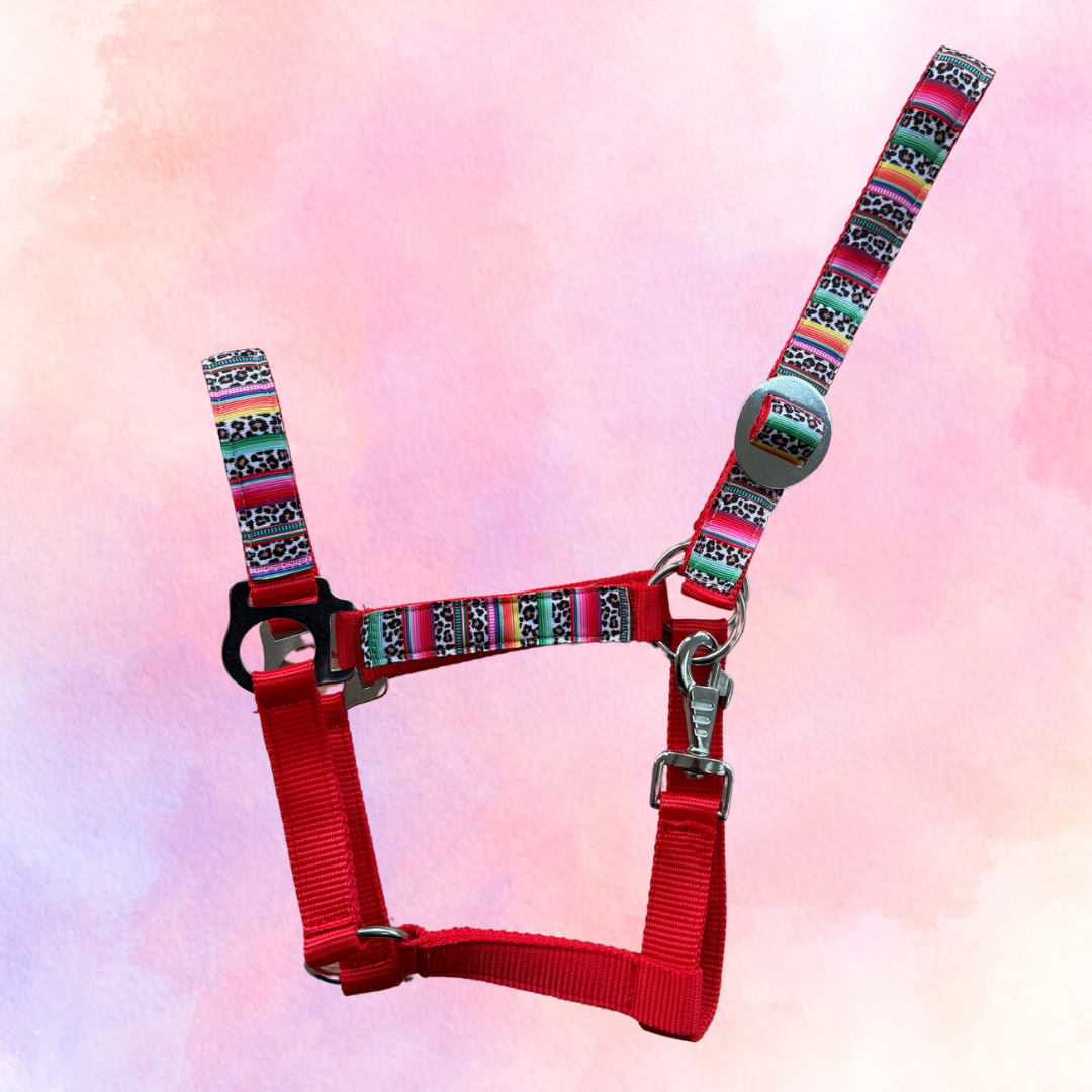 Happy Halsters x FMH - Colourful Panther Exclusive halster div. kleuren