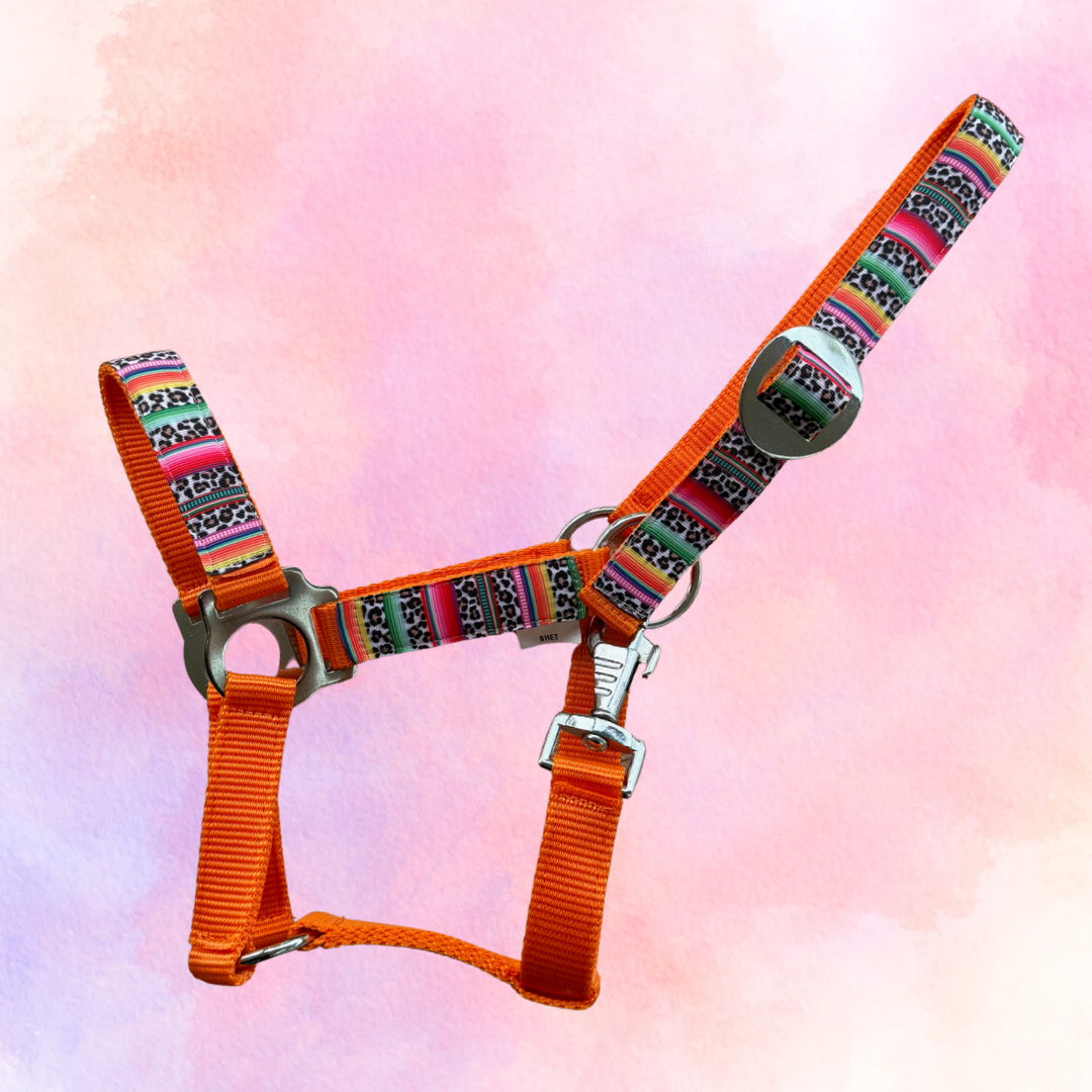 Happy Halsters x FMH - Colourful Panther Exclusive halster div. kleuren