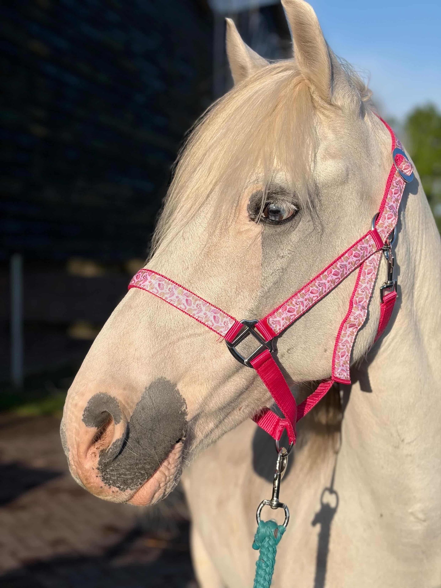 Happy Halsters x FMH - Pink Cowgirl Exclusive halster div. kleuren