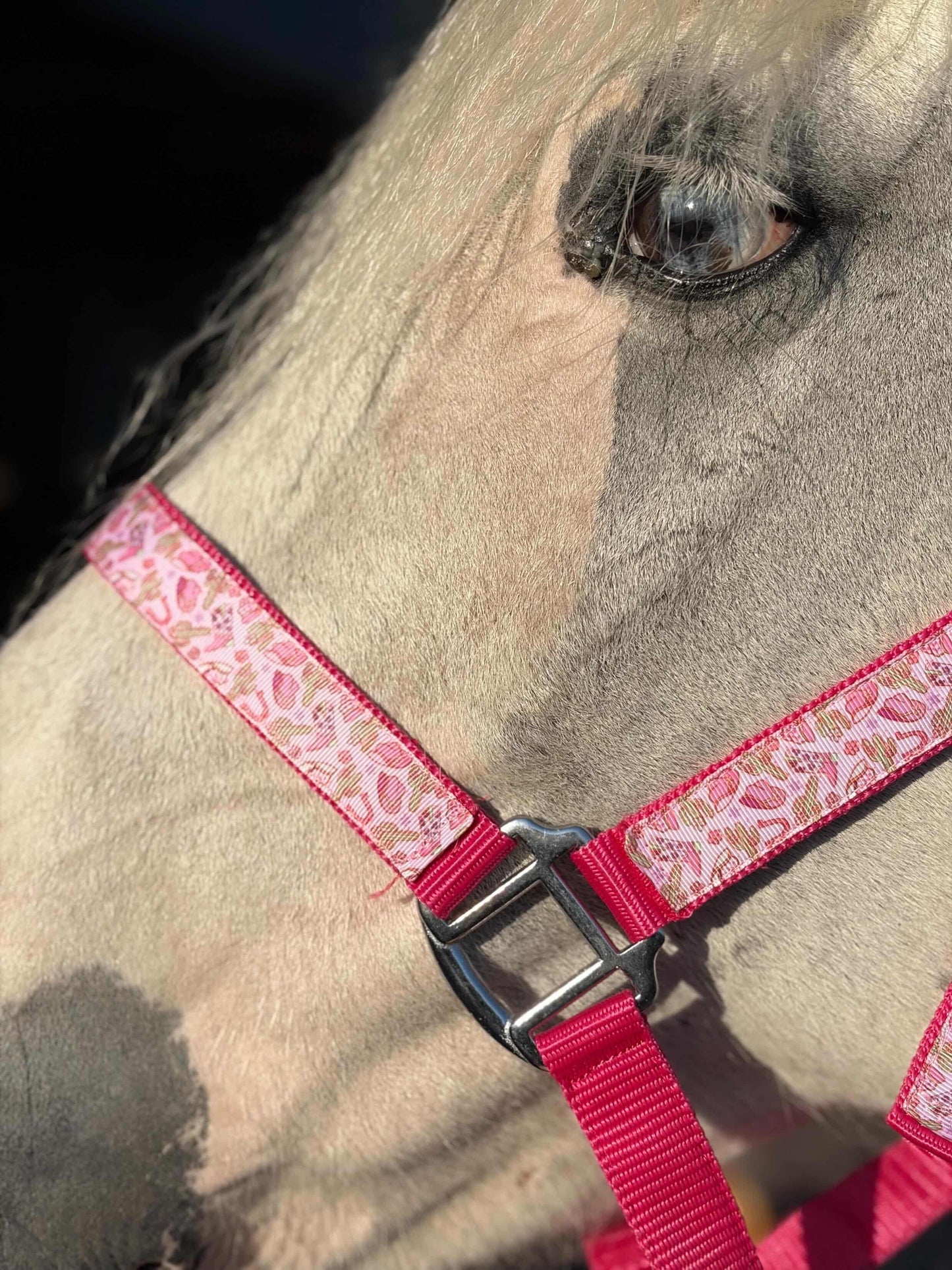 Happy Halsters x FMH - Pink Cowgirl Exclusive halster div. kleuren