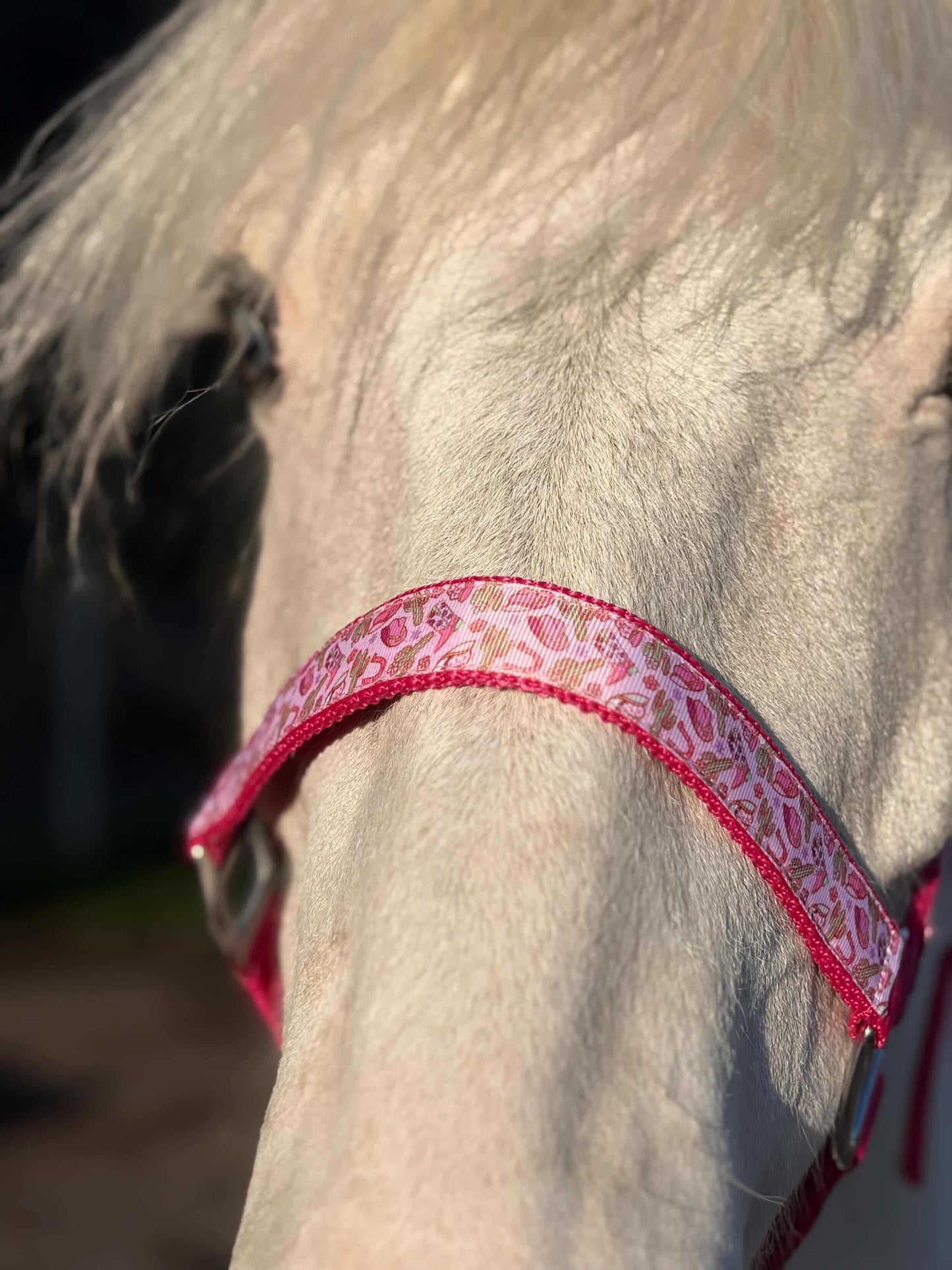 Happy Halsters x FMH - Pink Cowgirl Exclusive halster div. kleuren