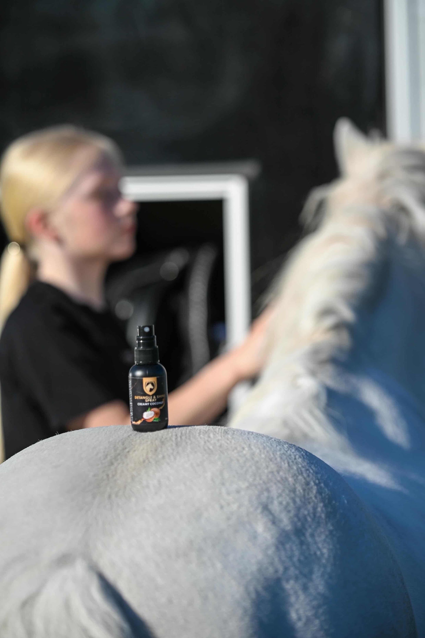 Excellent Horse - Detangle & Shine Spray Geschenkset 5 x 50 ML