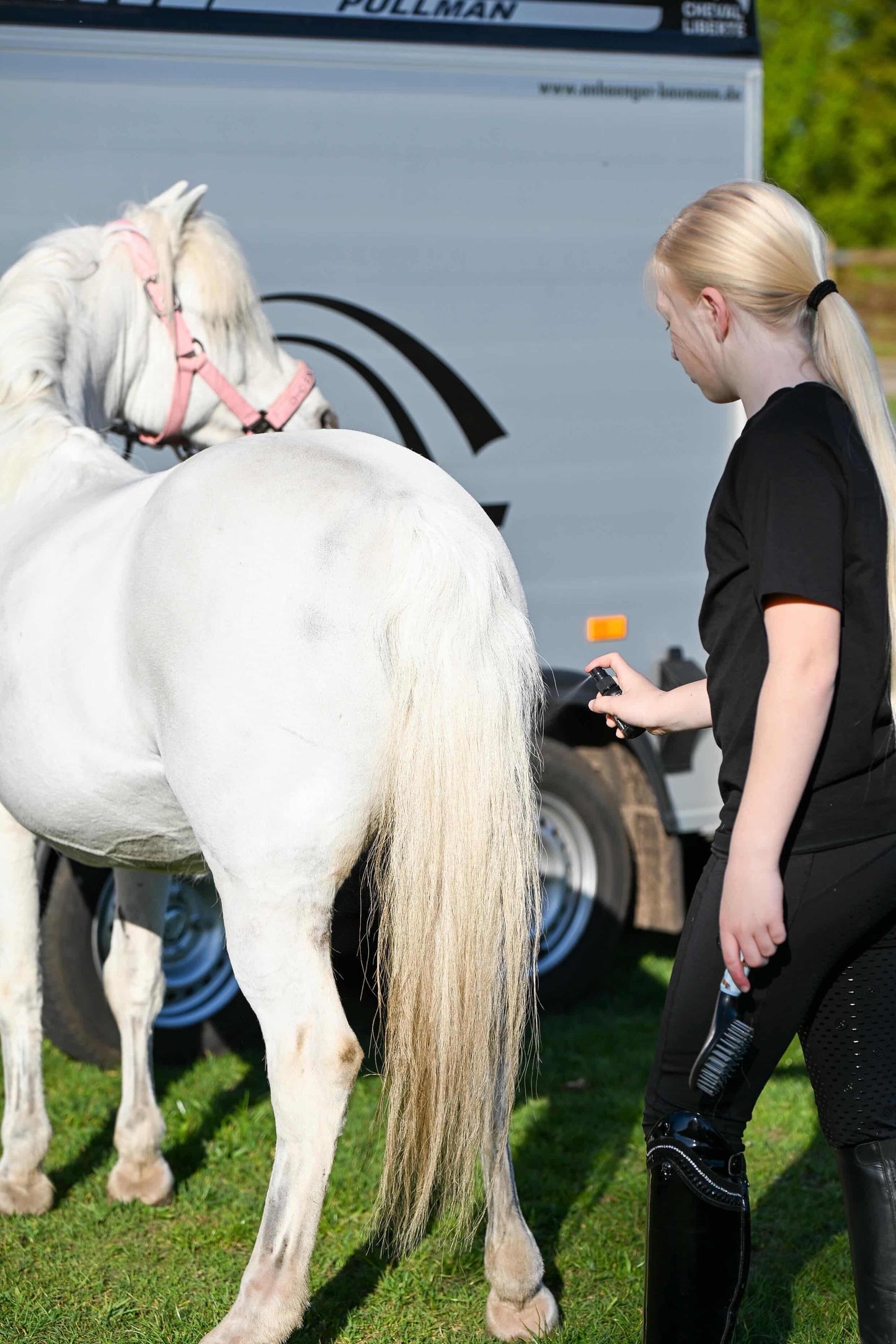 Excellent Horse - Detangle & Shine Spray Geschenkset 5 x 50 ML