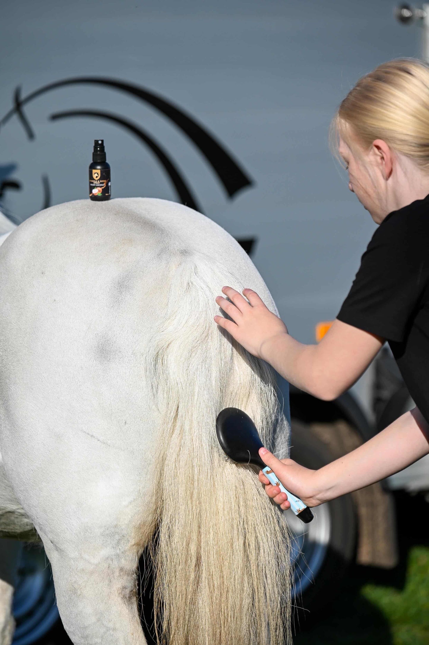 Excellent Horse - Detangle & Shine Spray Geschenkset 5 x 50 ML