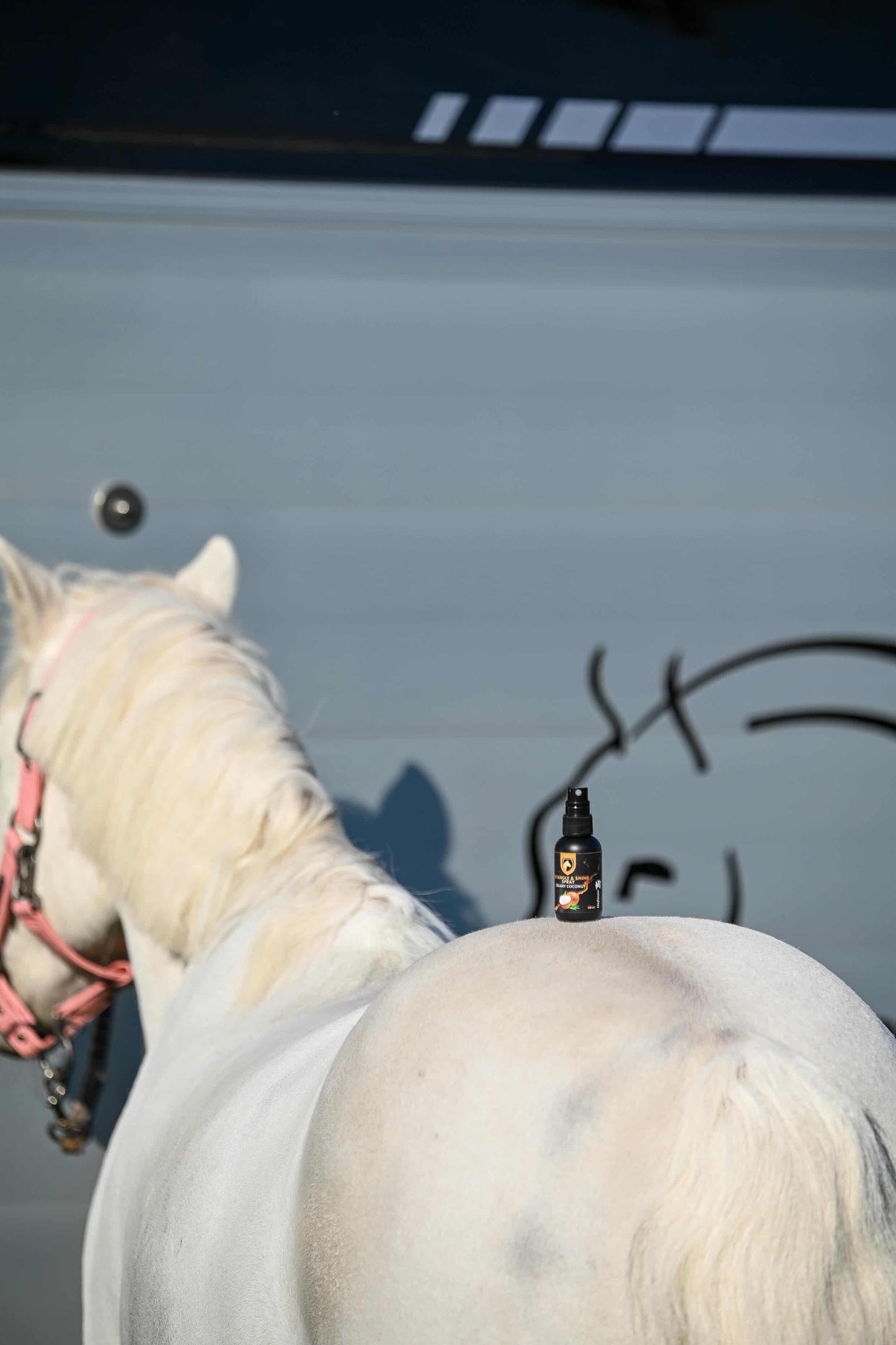 Excellent Horse - Detangle & Shine Spray Geschenkset 5 x 50 ML