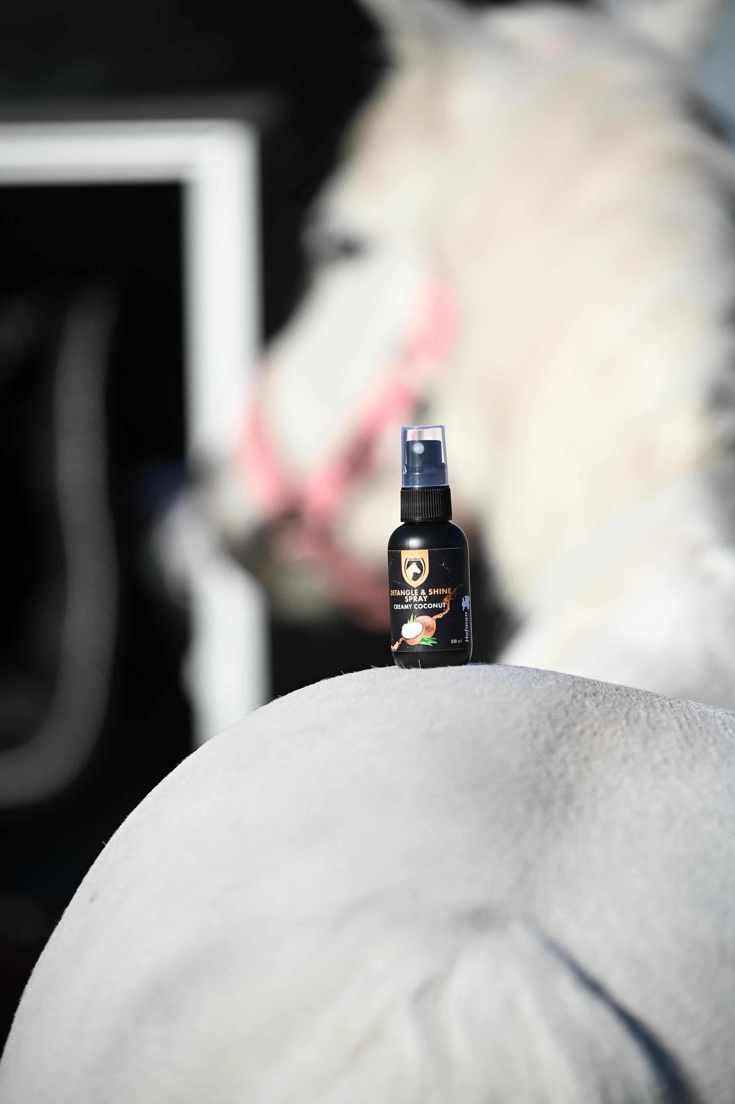 Excellent Horse - Detangle & Shine Spray Geschenkset 5 x 50 ML