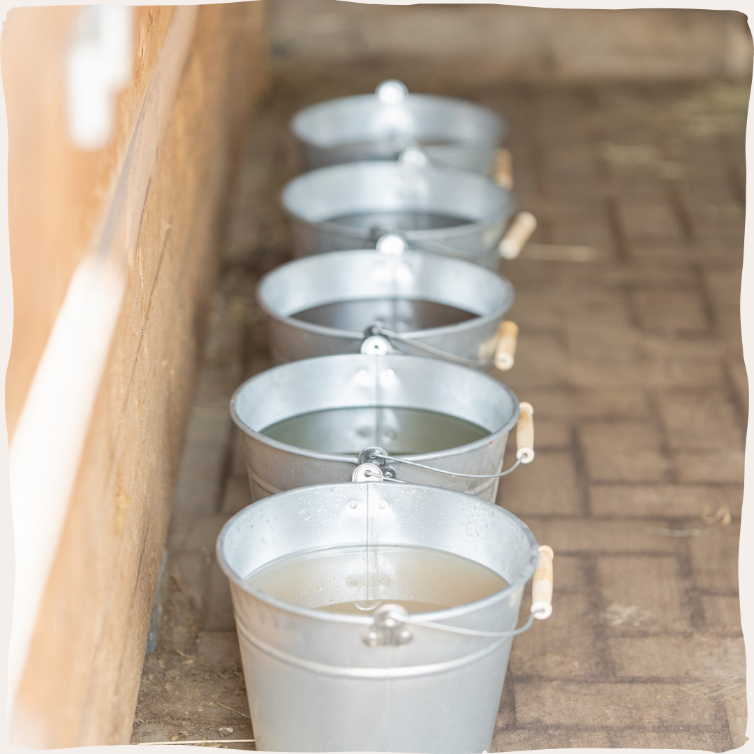 PerNaturam | Mineralenbuffet plantaardige sappen
