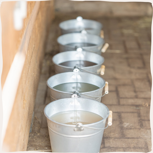 PerNaturam | Mineralenbuffet plantaardige sappen