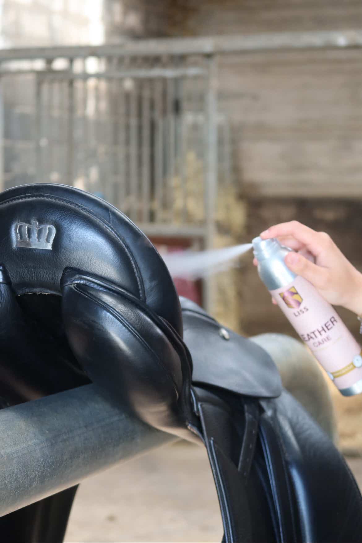 LISS - Leather Care spray