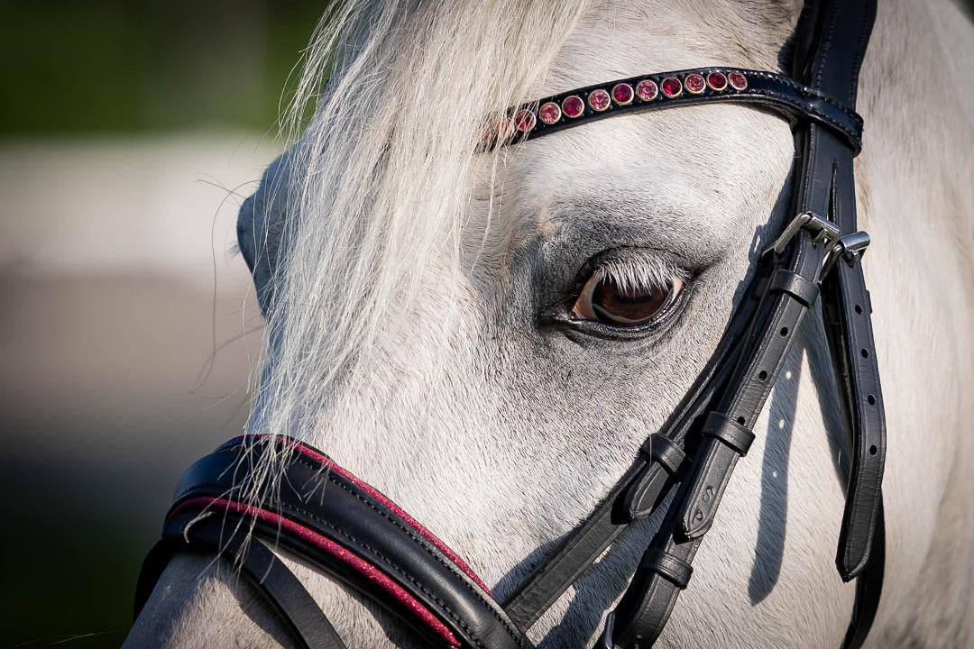 FMH - Luxe Hanoverian hoofdstel ‘Oops, I’m a Diva’ met dubbele neusriem roze onderlegd zwart leder incl. teugels