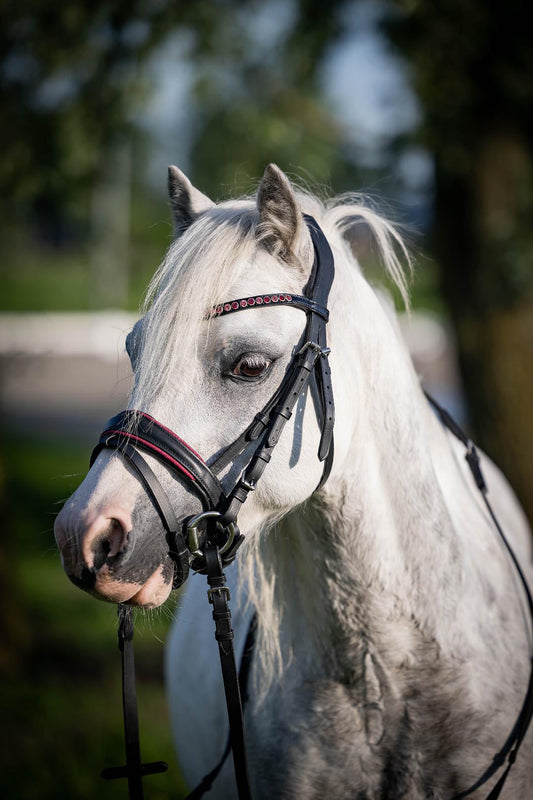 FMH - Luxe Hanoverian hoofdstel ‘Oops, I’m a Diva’ met dubbele neusriem roze onderlegd zwart leder incl. teugels