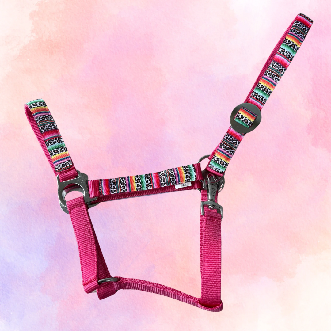 Happy Halsters x FMH - Colourful Panther Exclusive halster div. kleuren