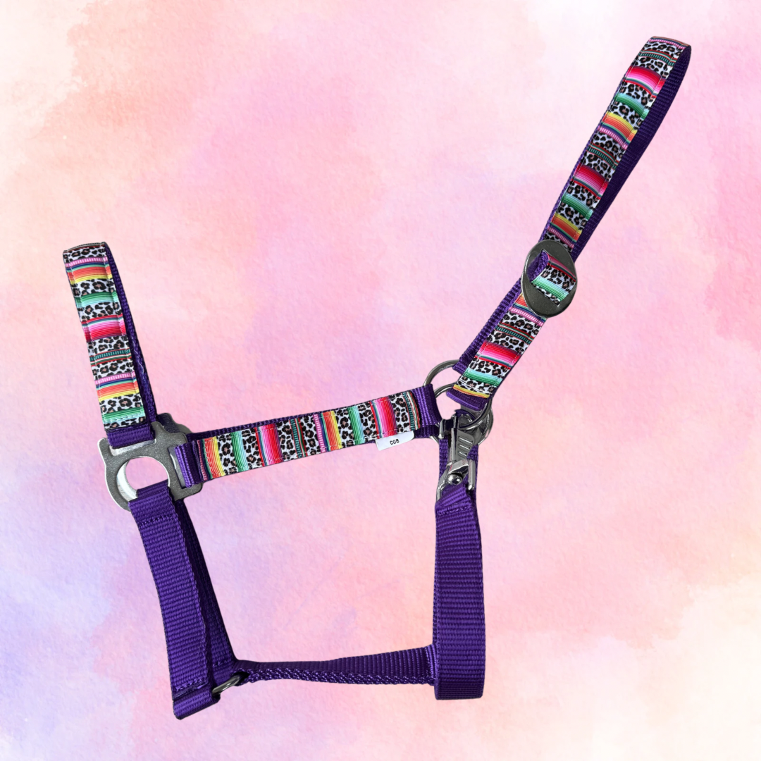 Happy Halsters x FMH - Colourful Panther Exclusive halster div. kleuren
